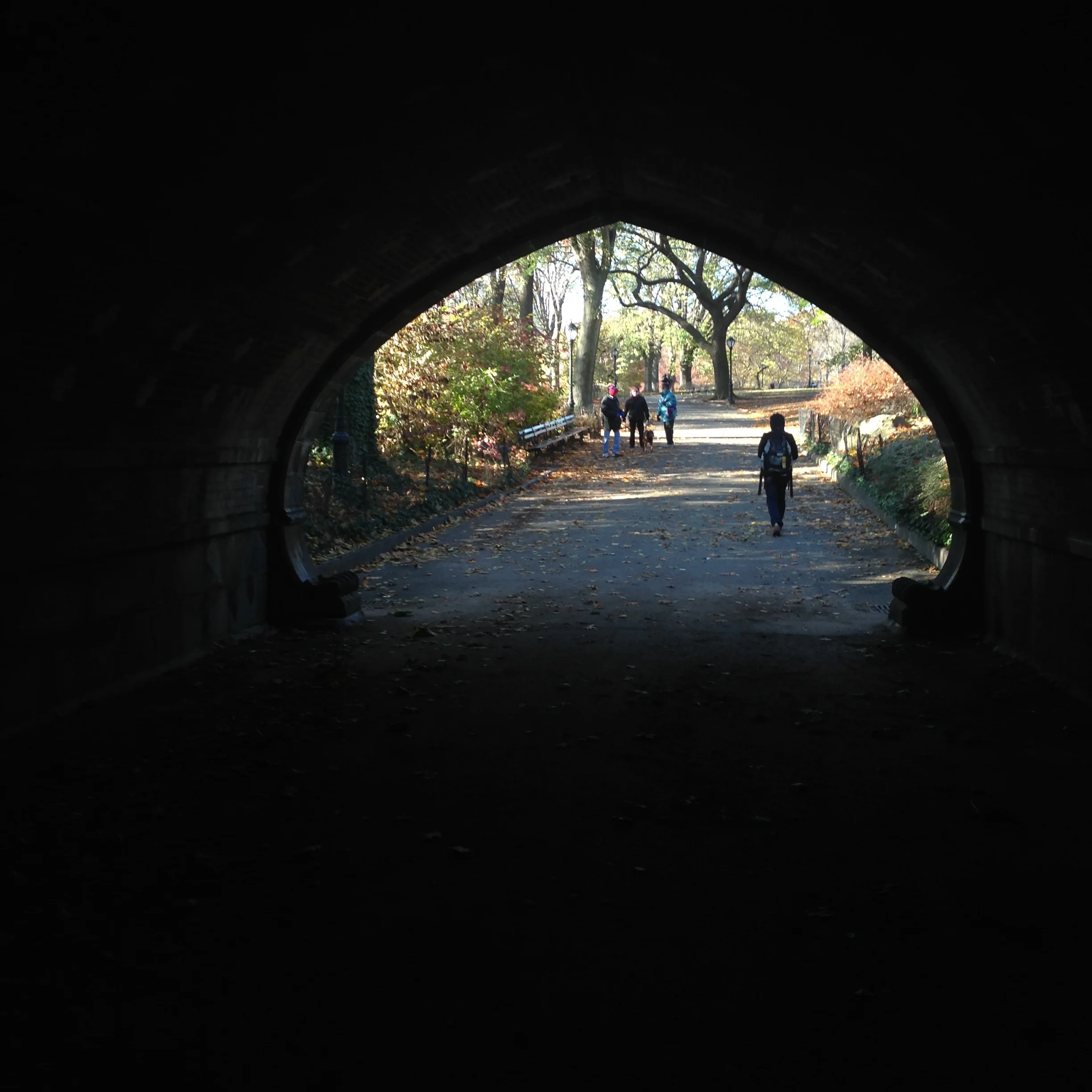 sketching our way through central park