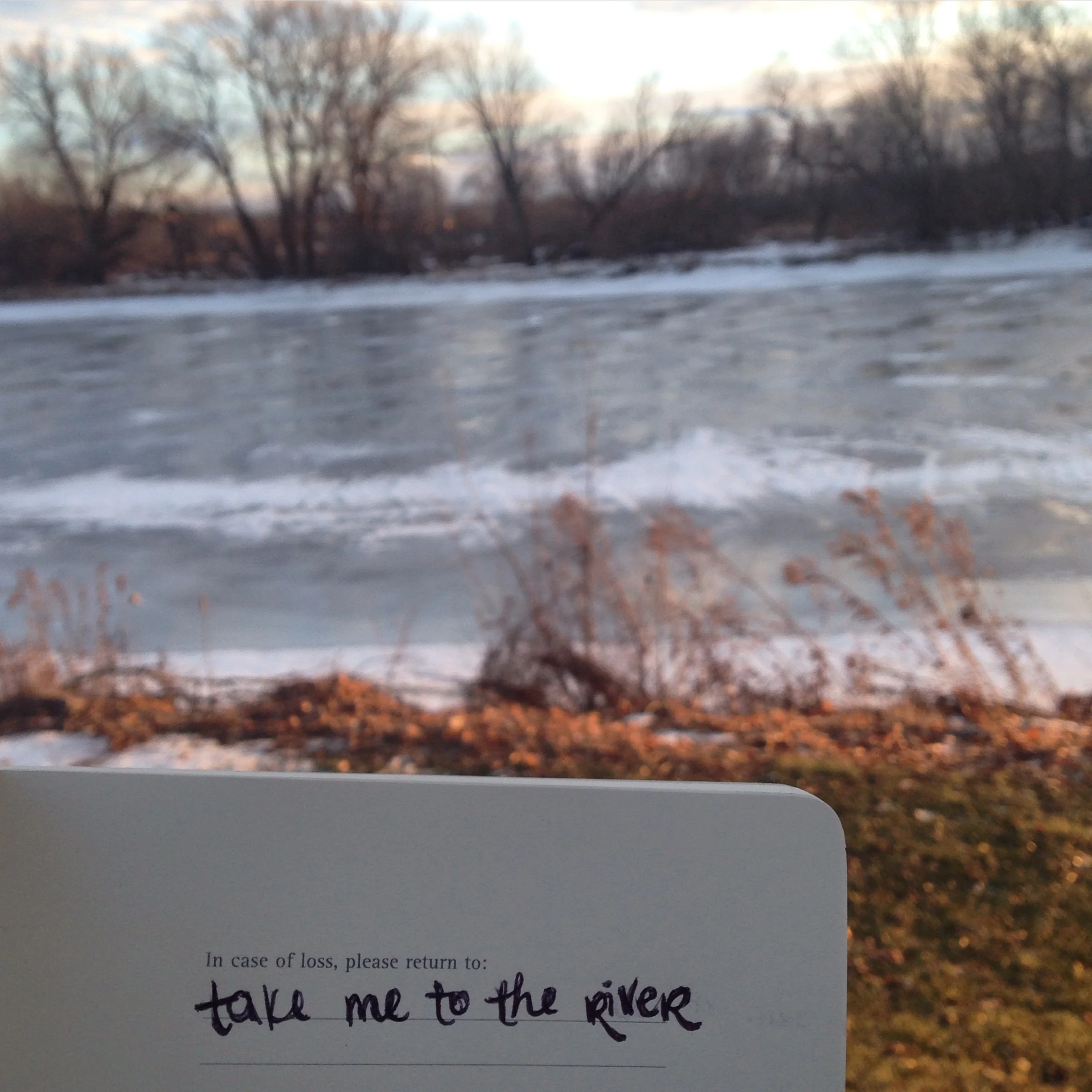 Writing day. Was frozen.