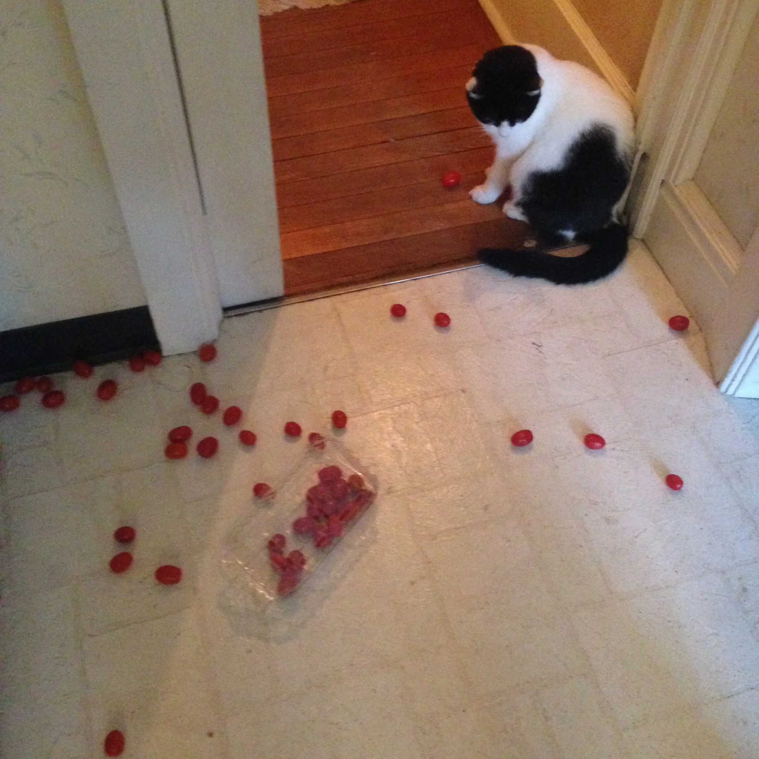 Oops.