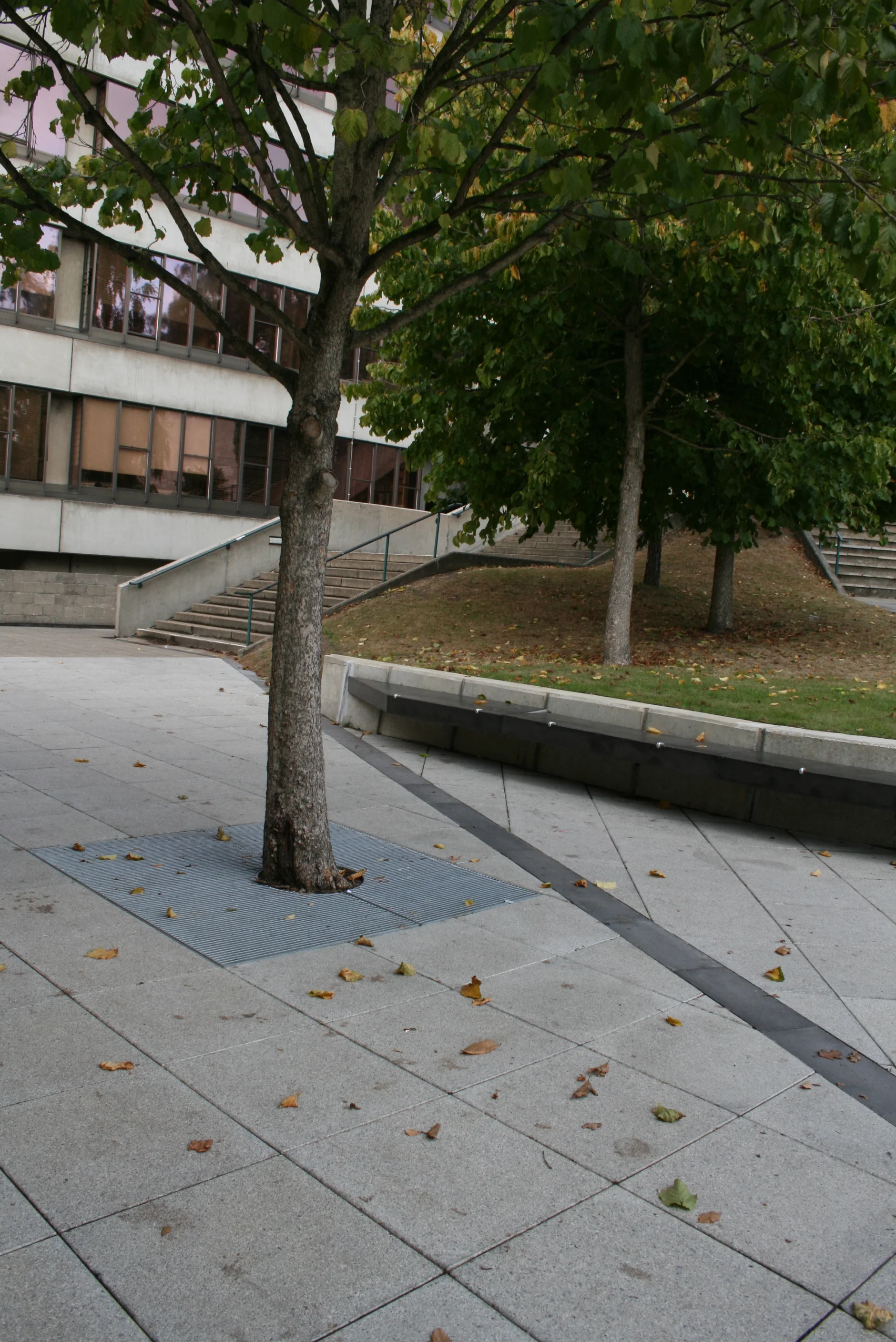 The Square, UEA