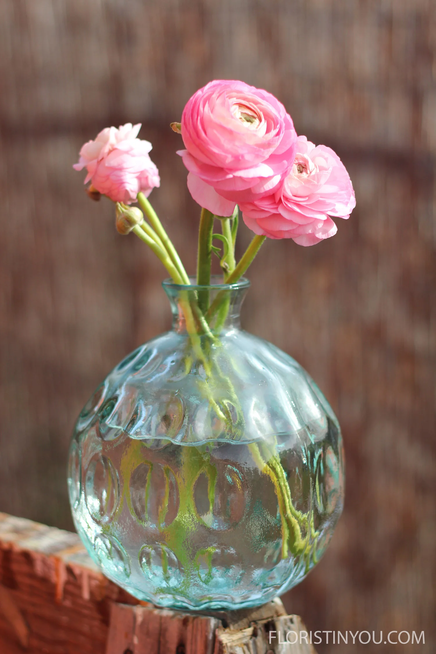Recycled Glass Ranunculus
Normal
0
false
false
false
EN-US
JA
X-NONE
/* Style Definitions */
table.MsoNormalTable
{mso-style-name:"Table Normal";
mso-tstyle-rowband-size:0;
mso-tstyle-colband-size:0;
mso-style-noshow:yes;
mso-style-priority:99;
mso-style-parent:"";
mso-padding-alt:0in 5.4pt 0in 5.4pt;
mso-para-margin:0in;
mso-para-margin-bottom:.0001pt;
mso-pagination:widow-orphan;
font-size:12.0pt;
font-family:Cambria;
mso-ascii-font-family:Cambria;
mso-ascii-theme-font:minor-latin;
mso-hansi-font-family:Cambria;
mso-hansi-theme-font:minor-latin;}