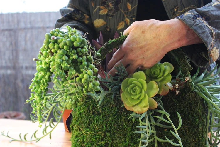 Plant large in front.