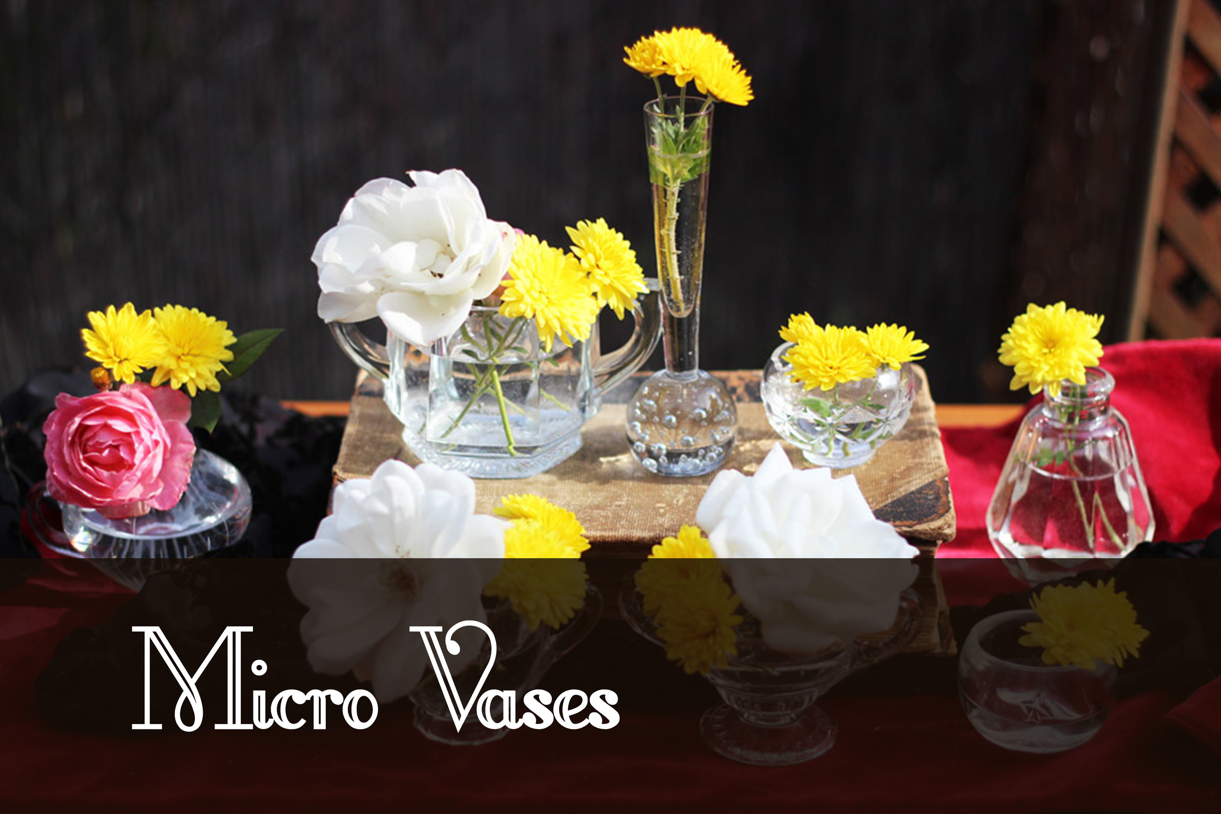 Micro Vases