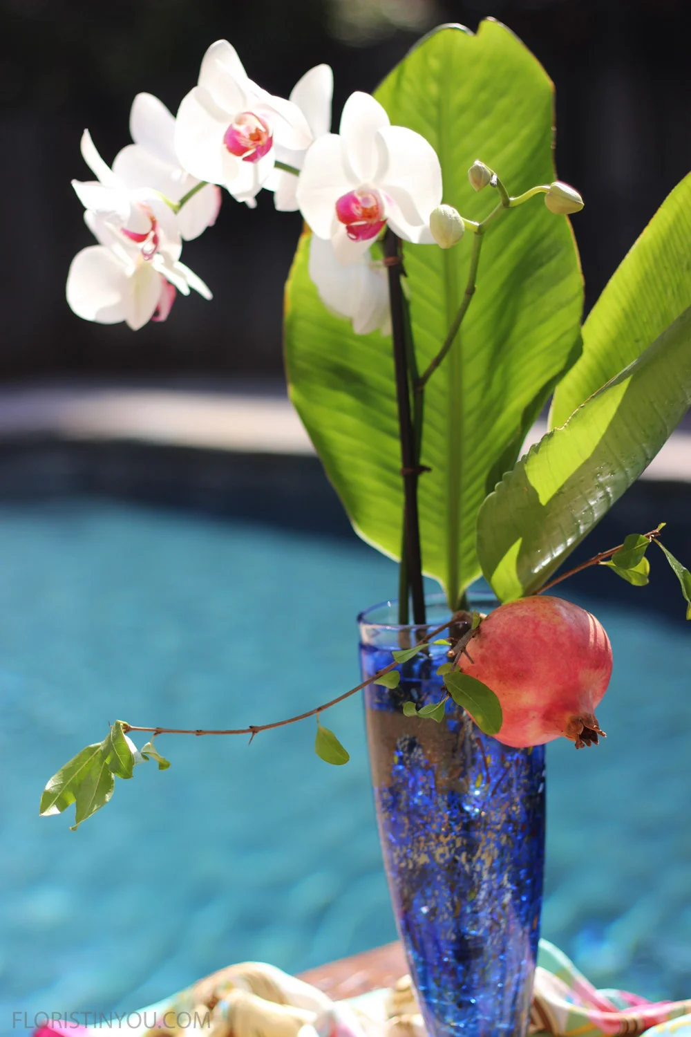 What S Kosta Boda Glass Floristinyou