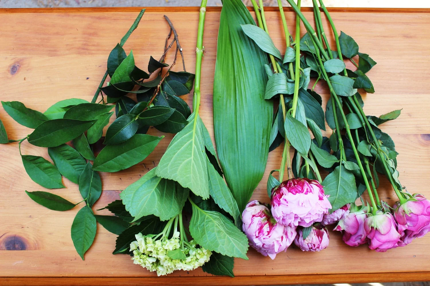 Here are the flowers and greens you will use: Lemon leaf, Camellia stem, Mini Hydrangea, Peonies and Roses.