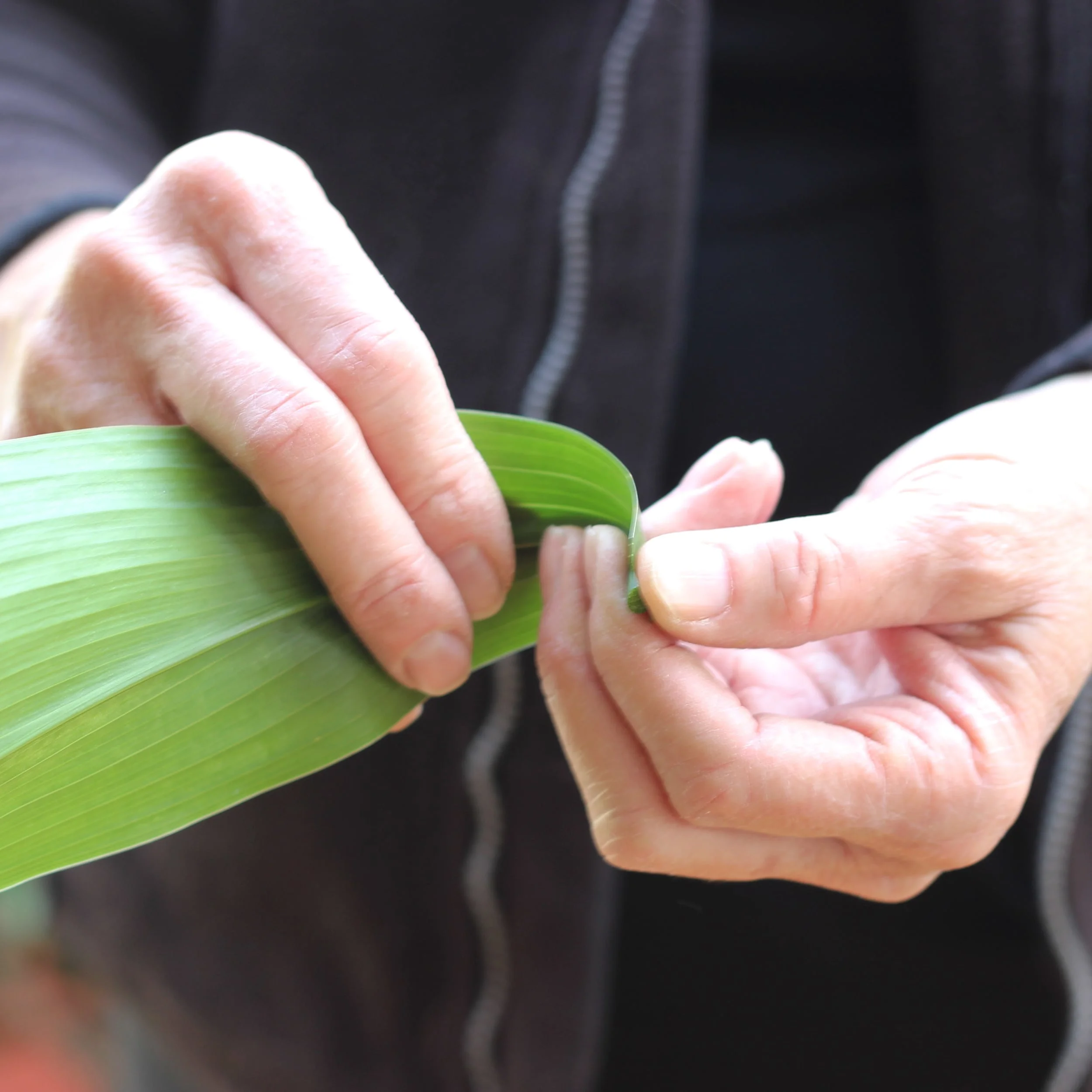 Shape and bend the end of the Tea leaf to stay in a cylindrical shape.