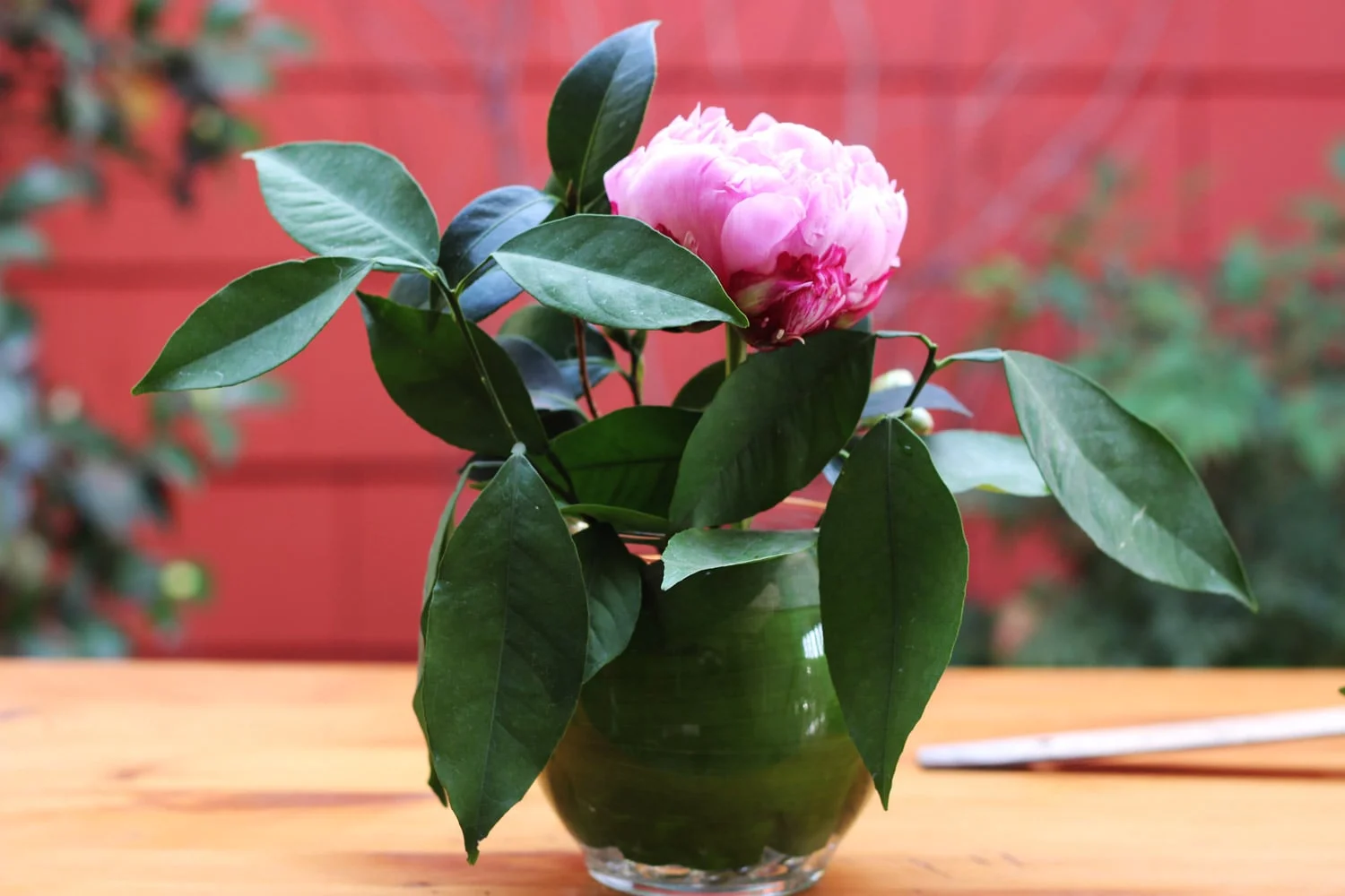 Put large Peony in front.