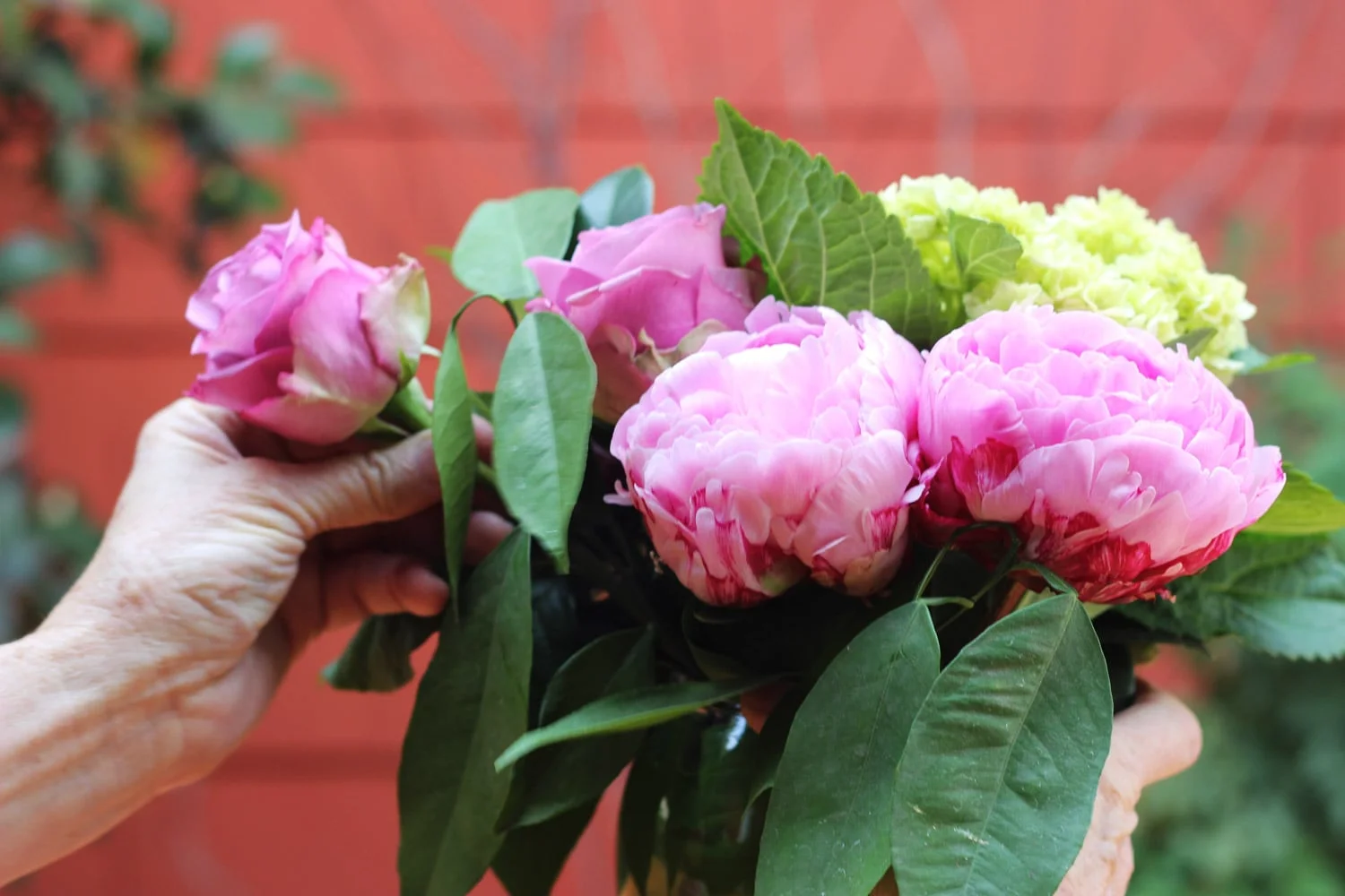 Put last hydrangea in a fill in with roses.