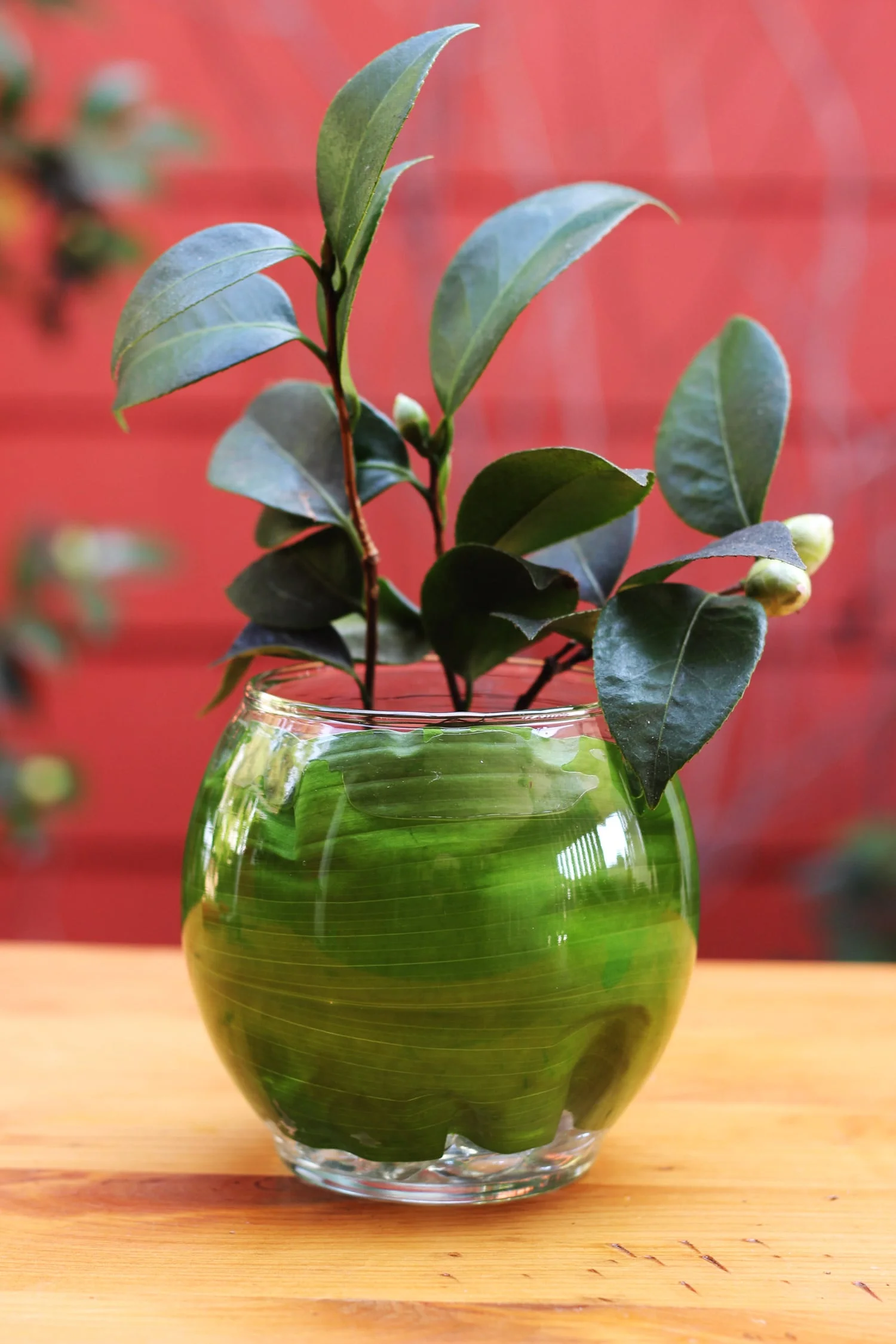 Put your camellia stem with buds in the back (or if you have 2, put one in back and one in front.)