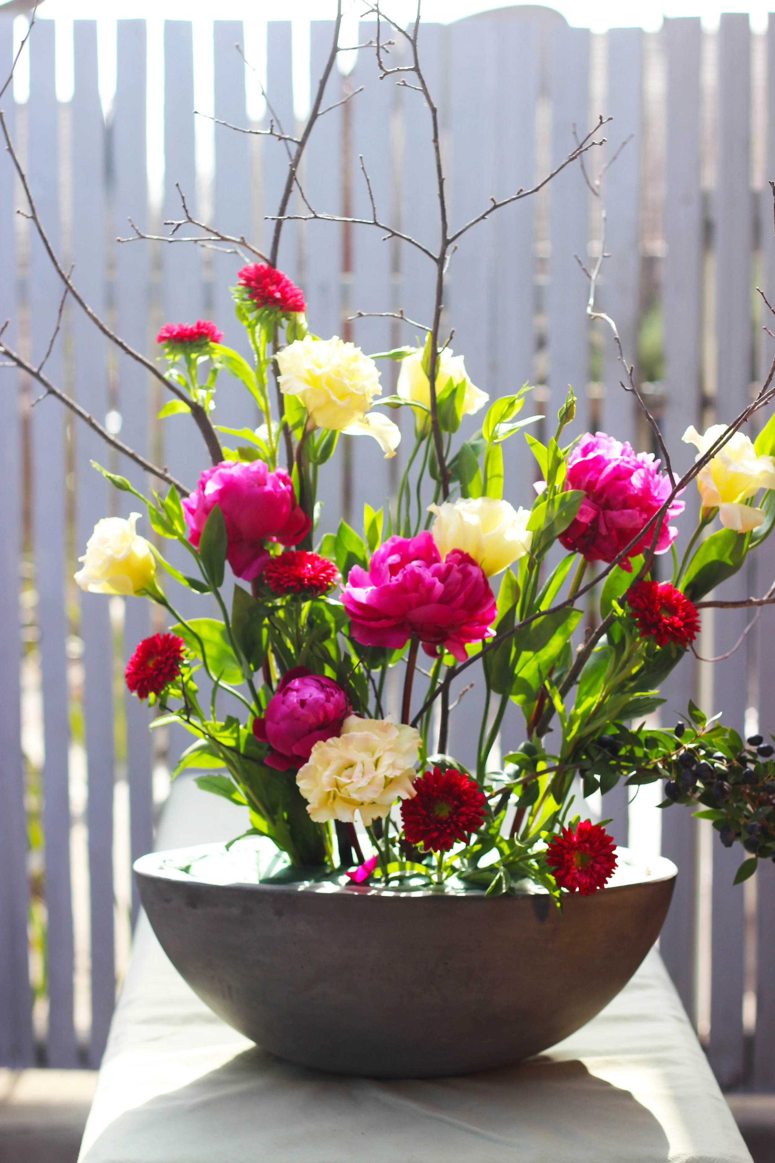 Place burgundy Aster Matsumoto, as shown.