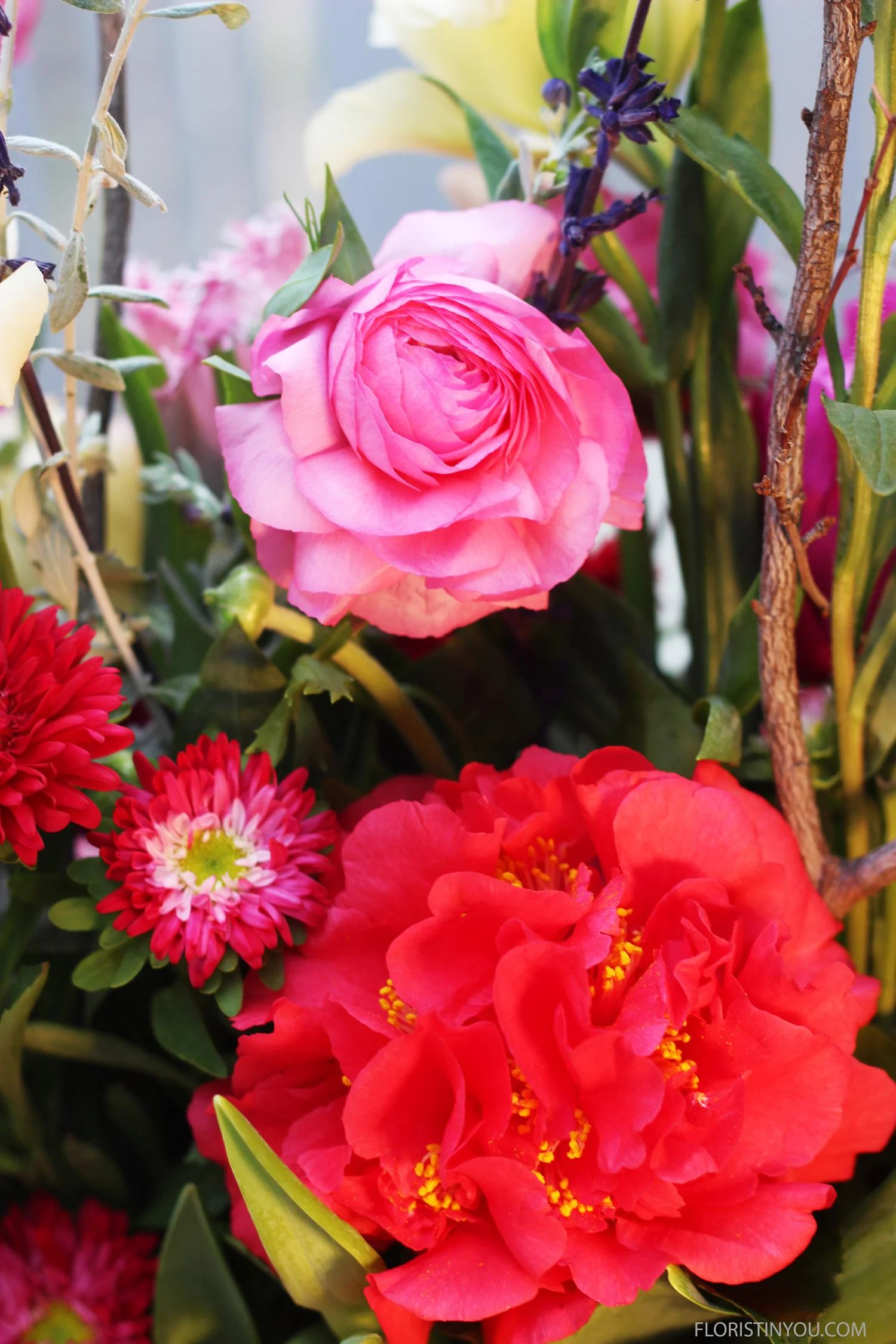 This Camellia is just off the bush outside the front door, but it is very 'showy'.