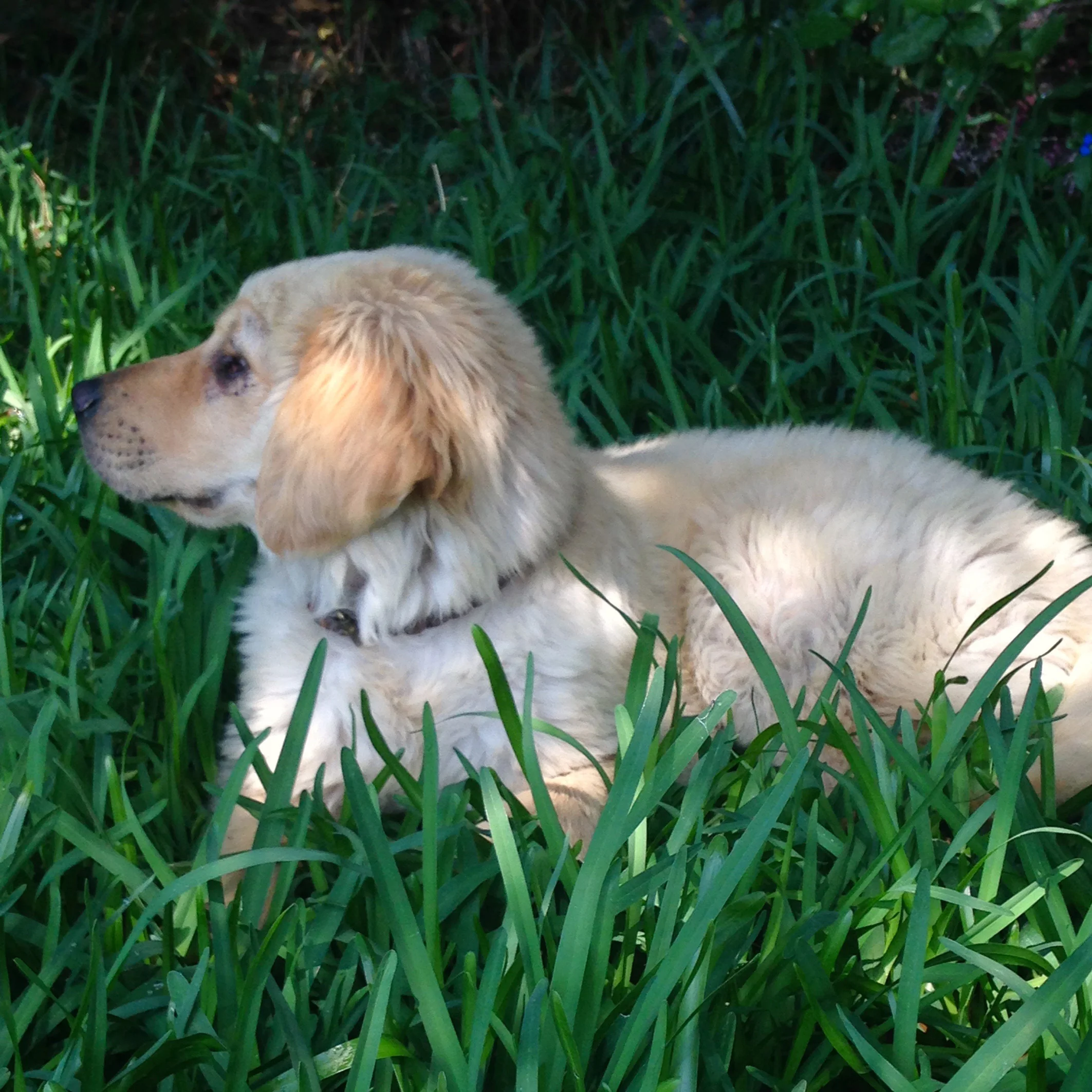 What do you think Miss Elle?  Do they smell?