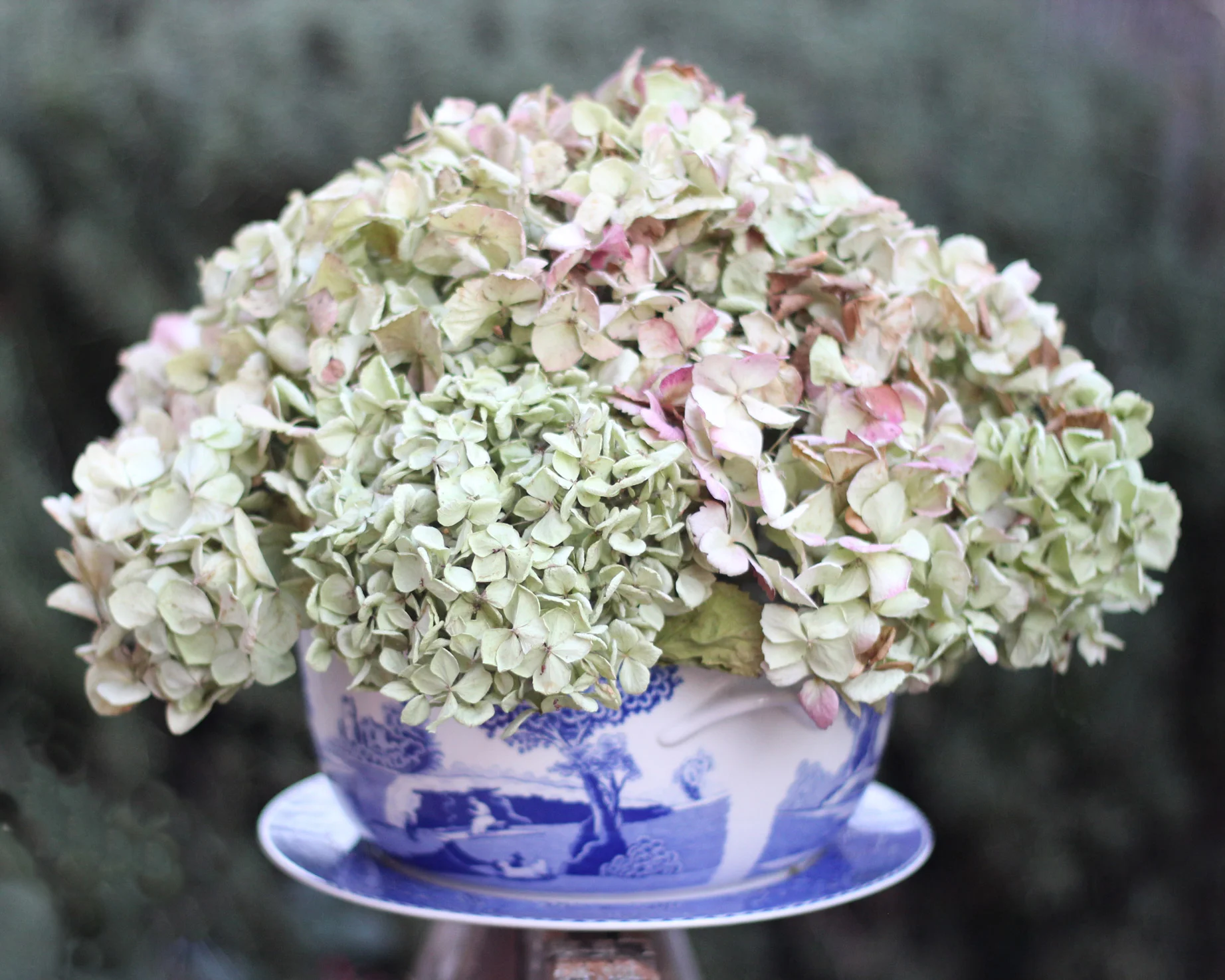 Enjoy the subtle hues in this, on a table or on top of your China hutch.