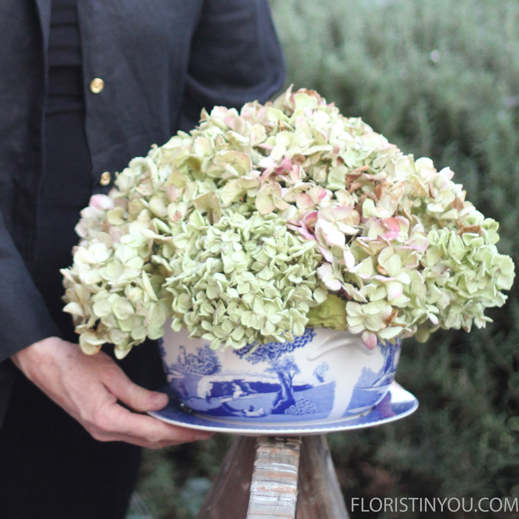 Dried Hydrangeas in Blue Italian Spode