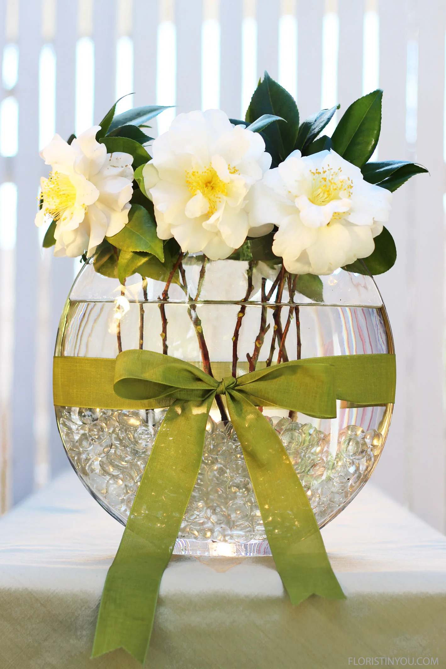 White_6819_2.jpg
