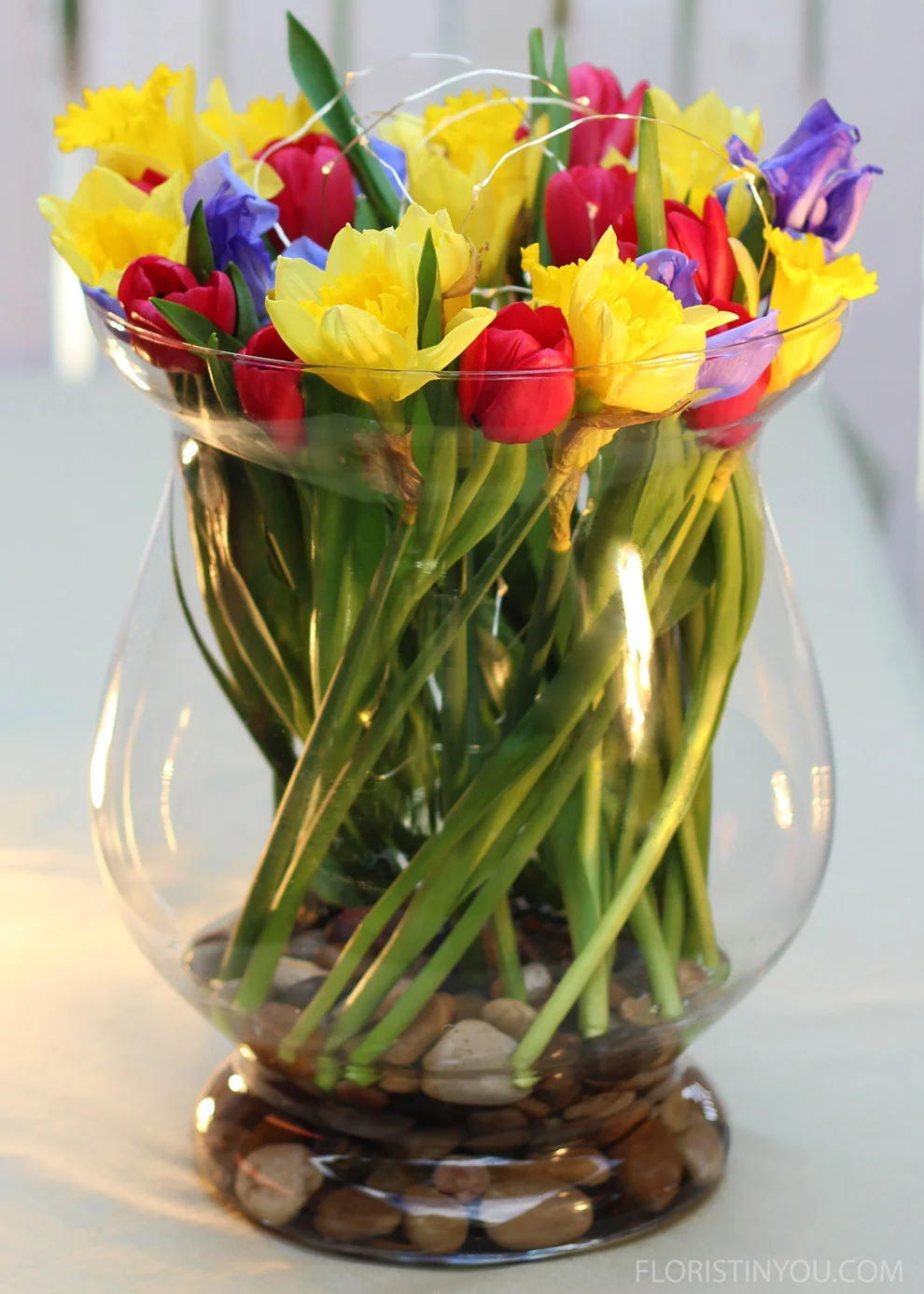 Tulip_7117_F.jpg