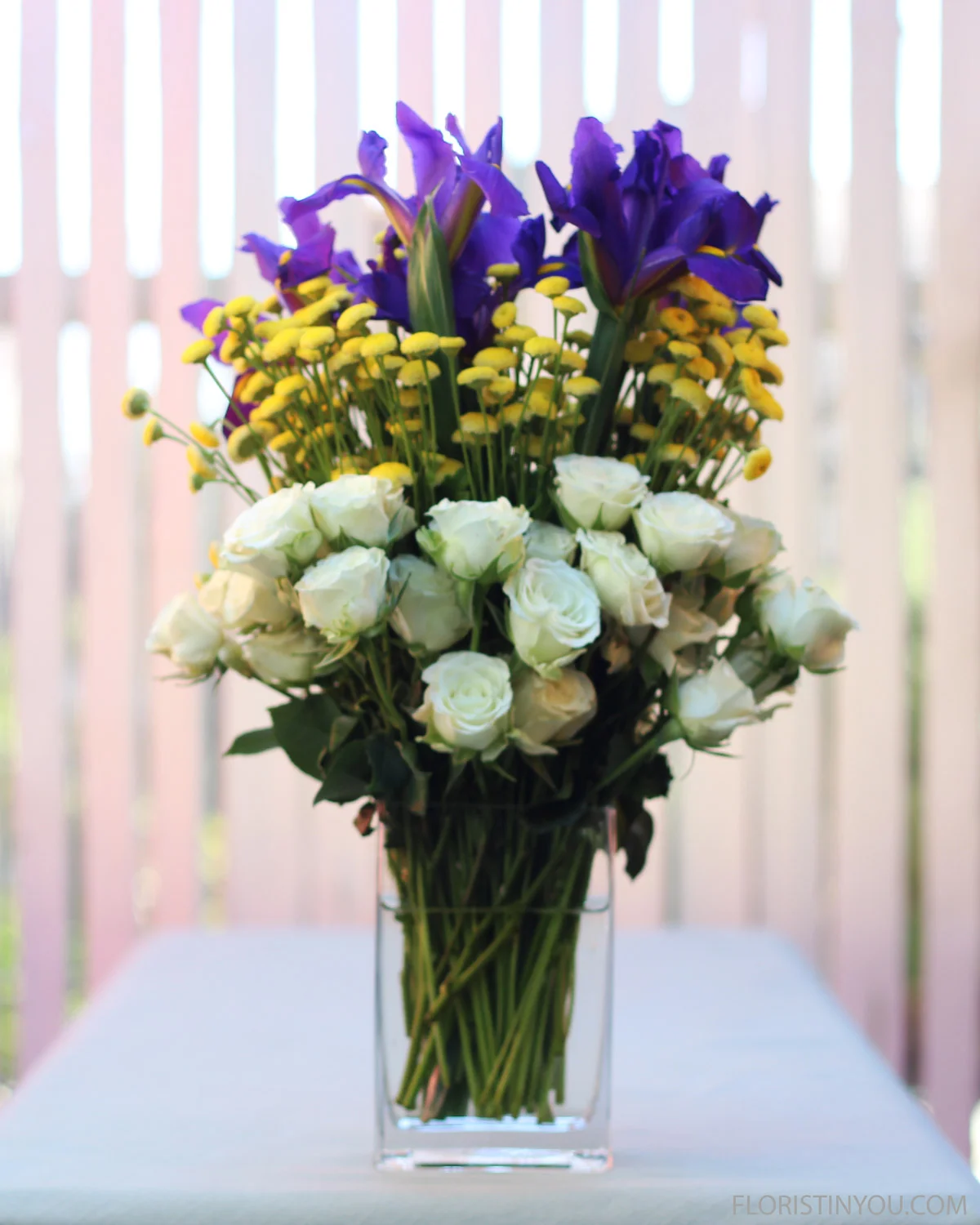 Iris_8267_4-5.jpg
