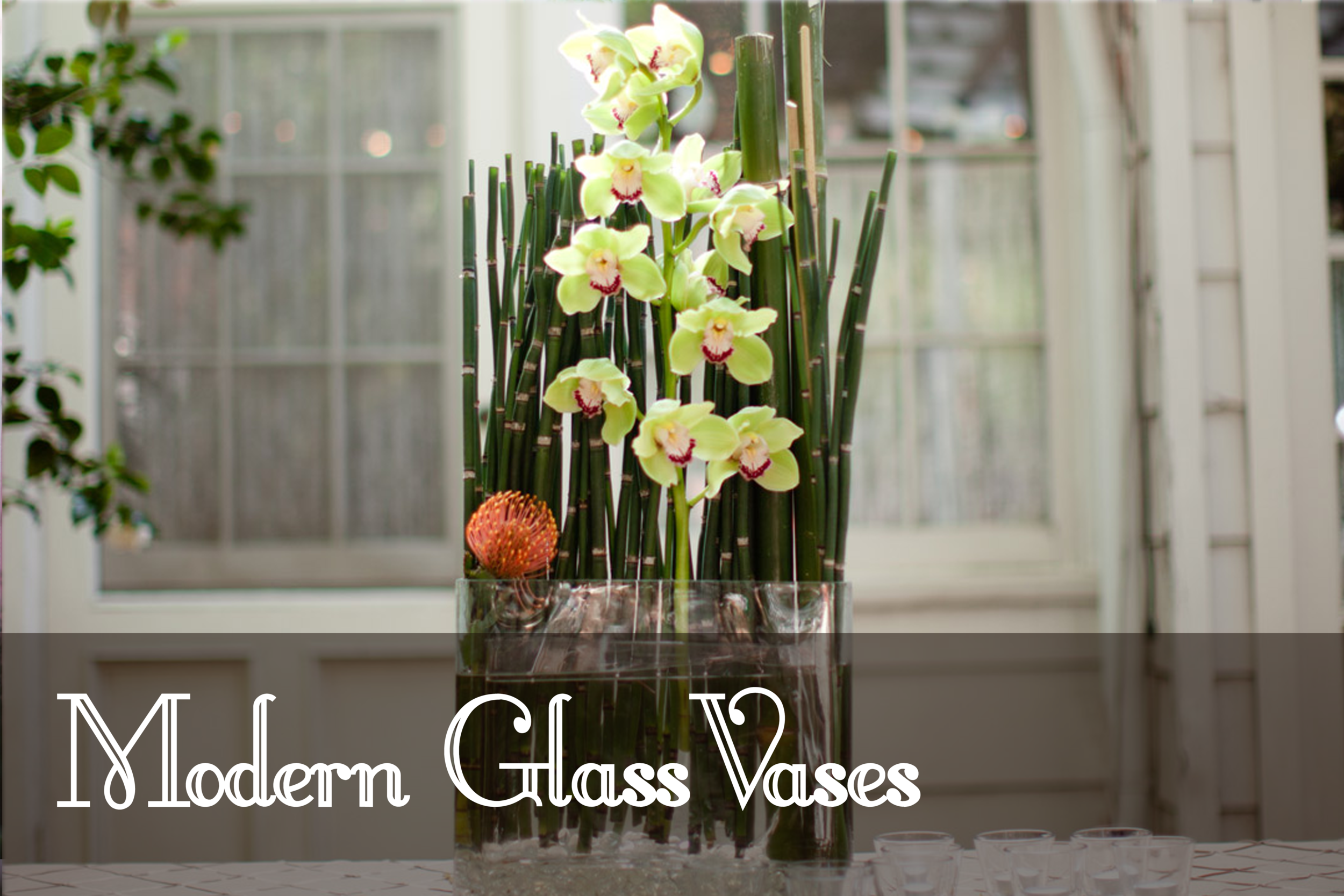 Modern Glass Vases