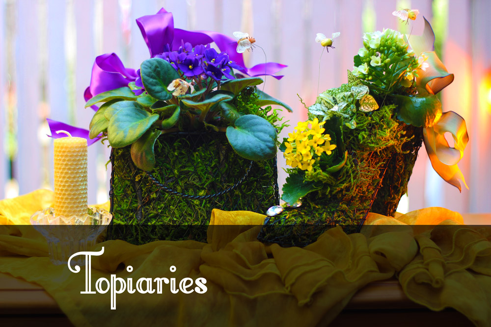 What is a Topiaries