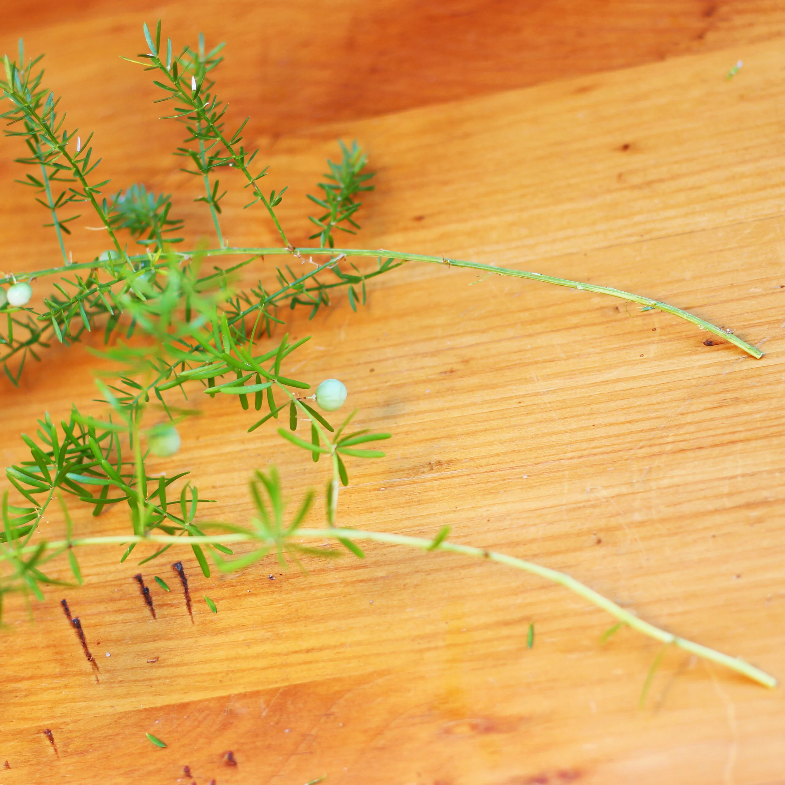 They will look like this.