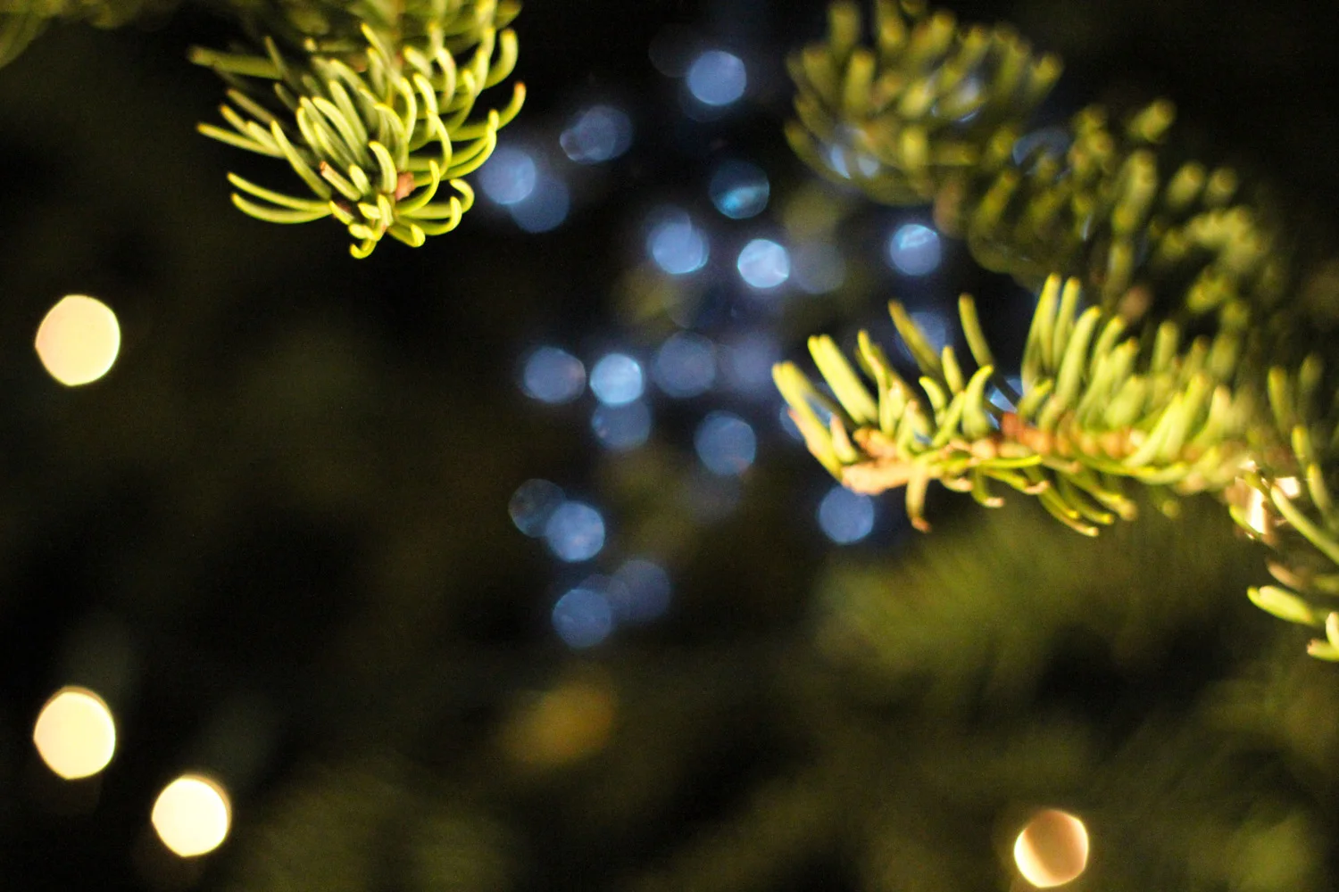 Next add your angels.