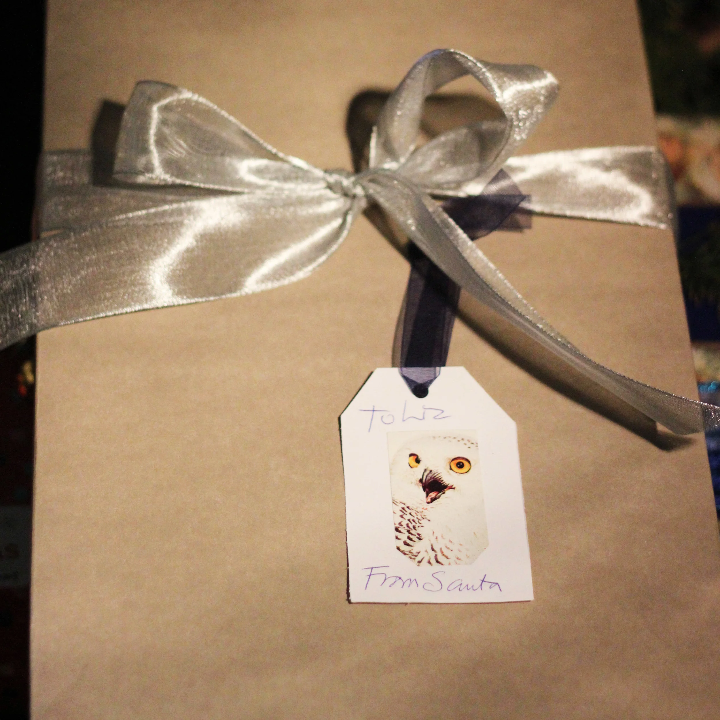 The handmade bird  cards on old fashioned tags add charm to your gifts.
