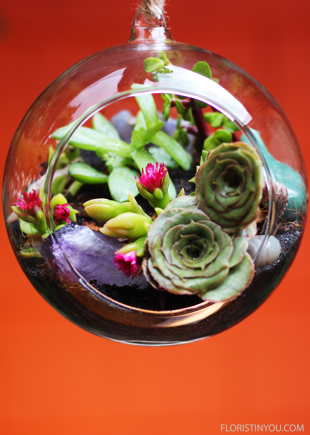 Succulent Terrarium