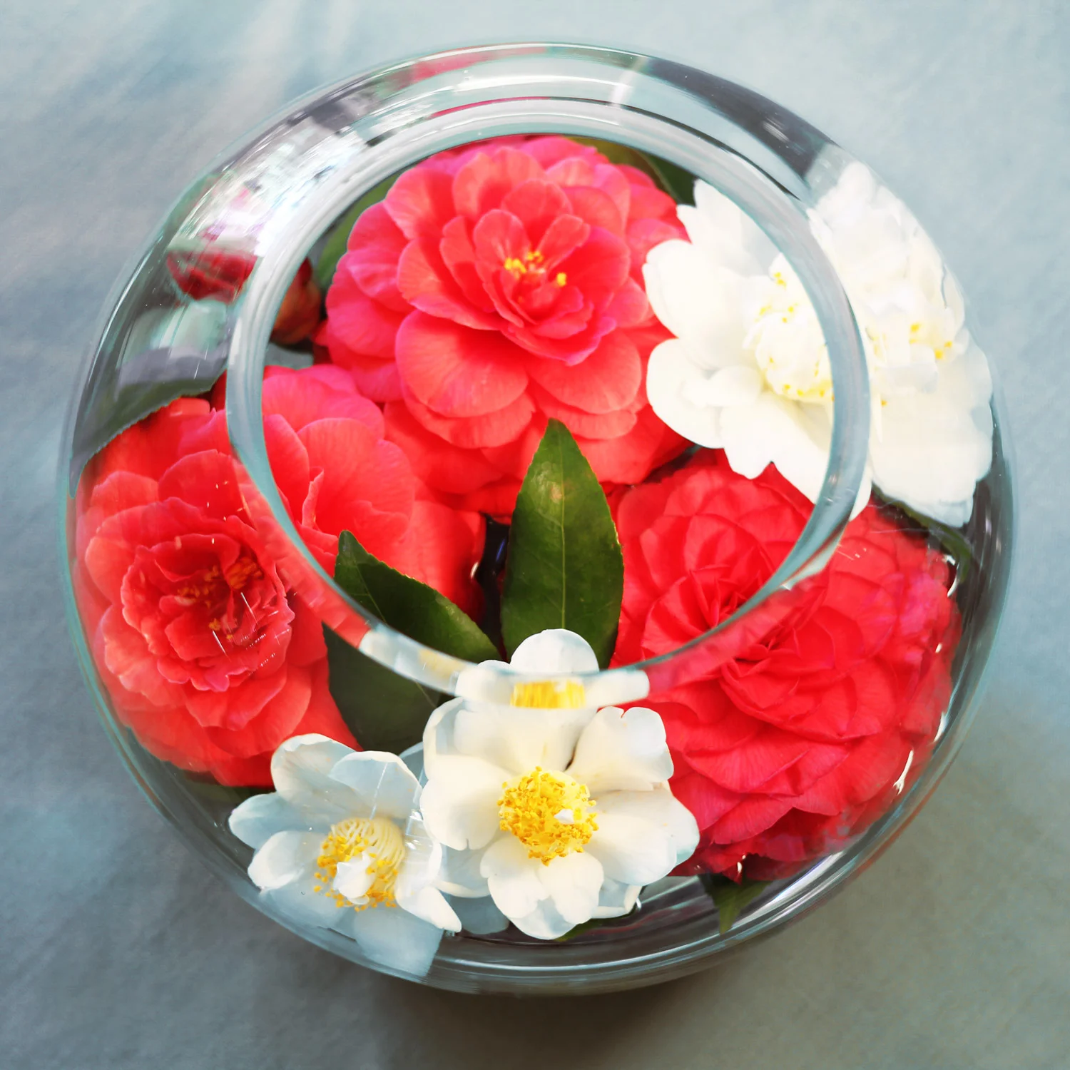 So here's your clean modern look for zero dollars.  Enjoy!