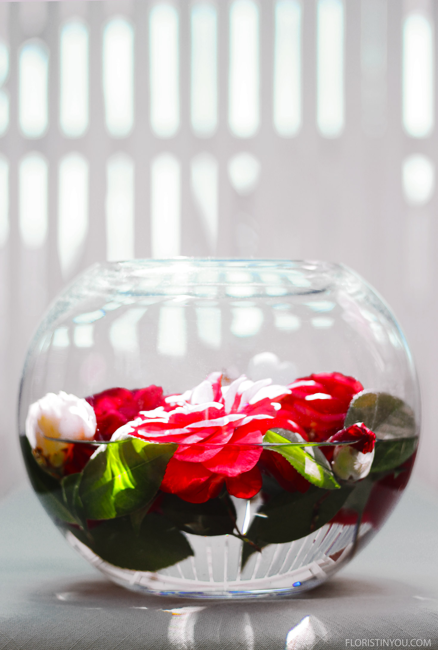 Floating Camellias