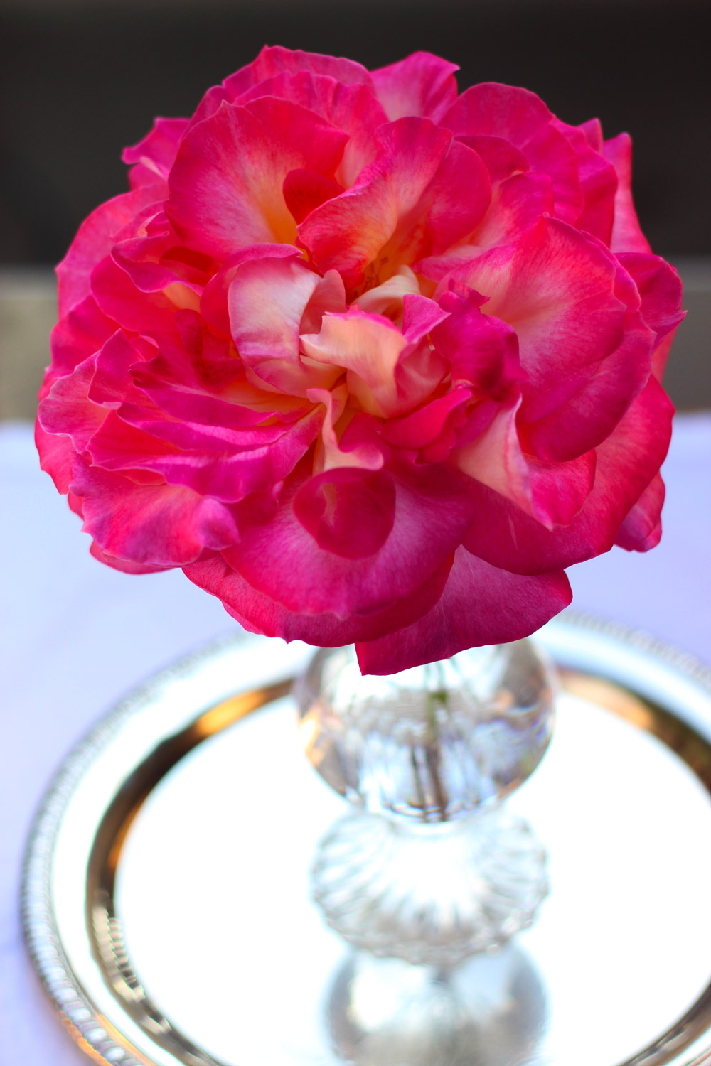 Breathtaking Single Rose Centerpiece