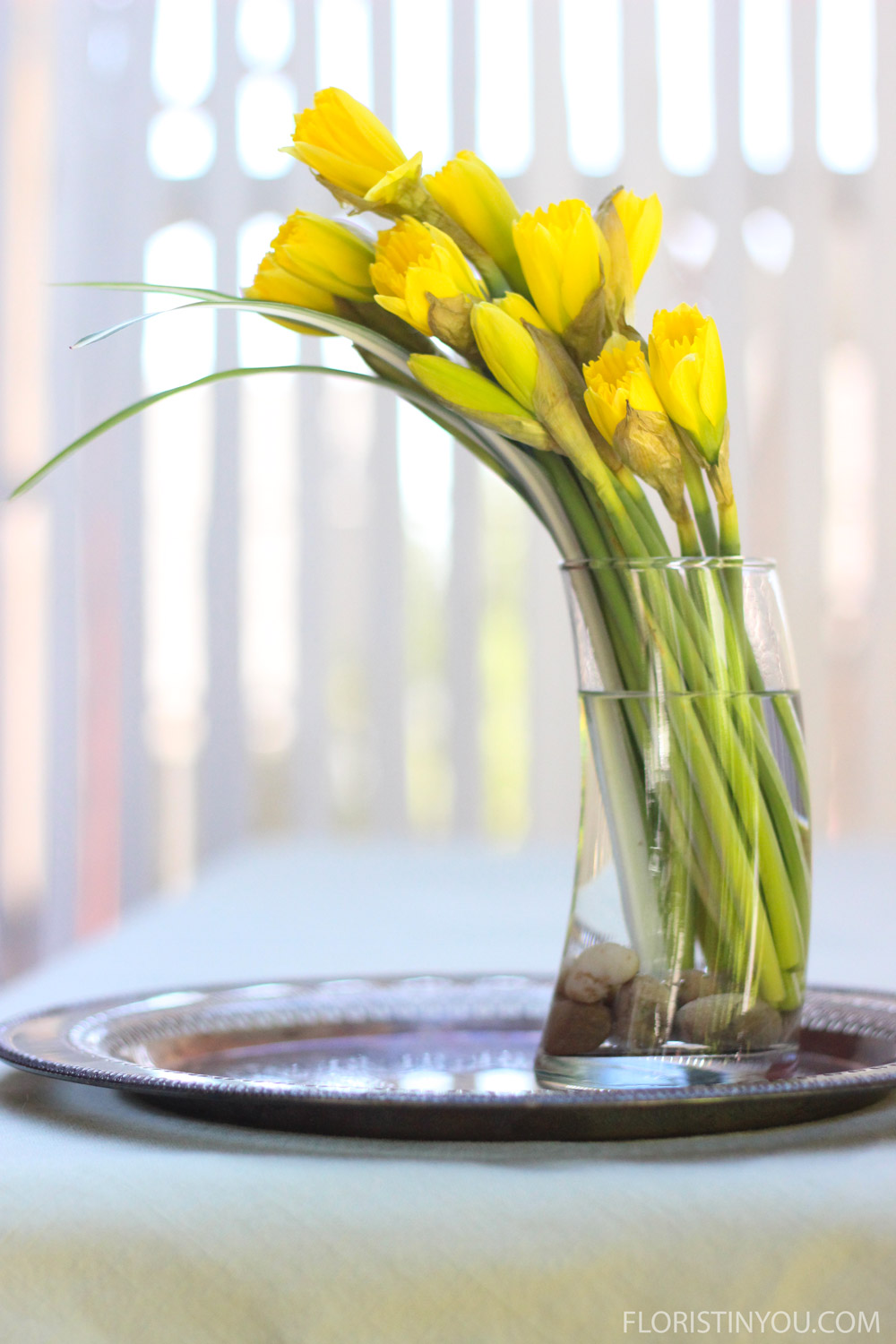 Celebrating Spring's First Flower: The Daffodil - Avas Flowers