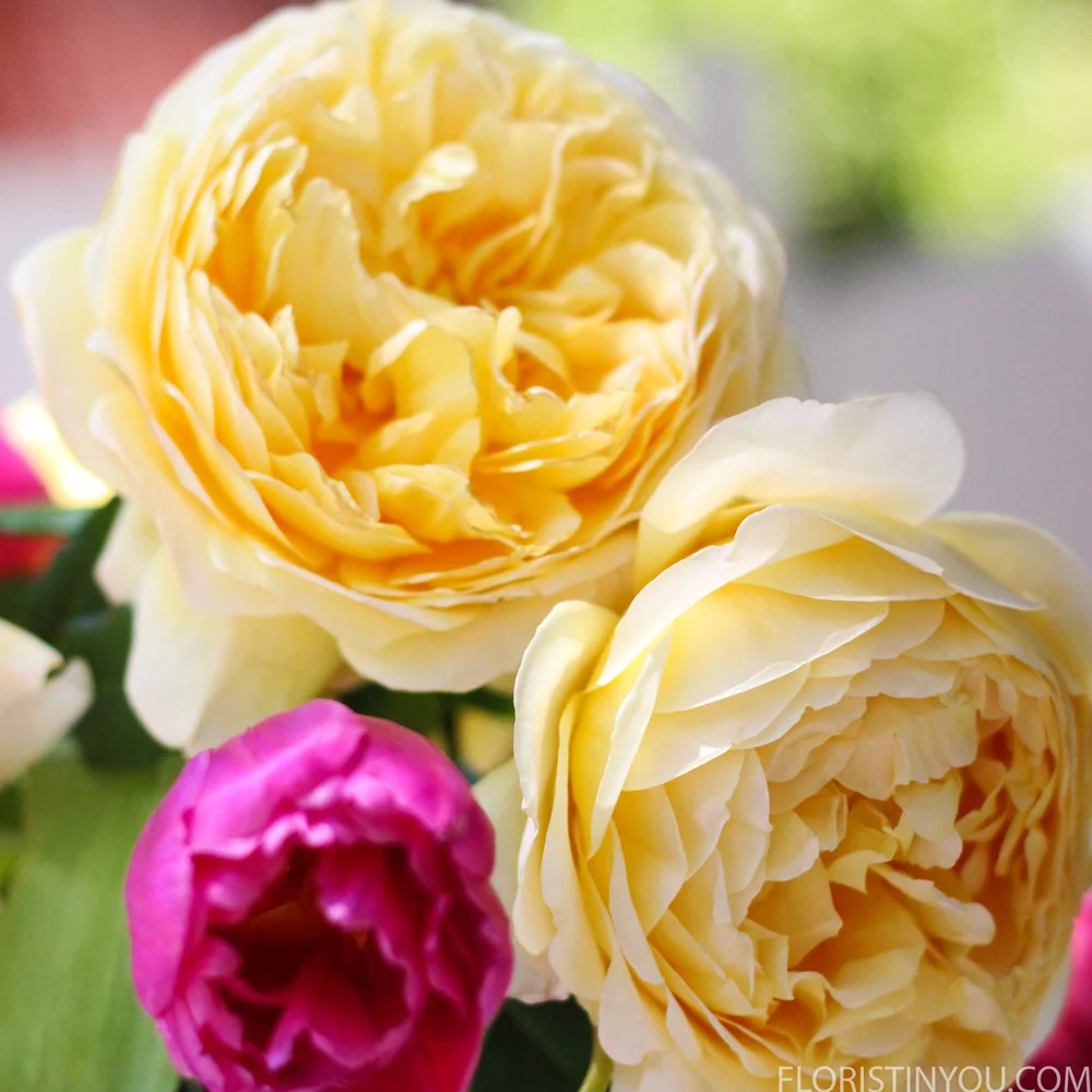 The David Austin roses are lusious.