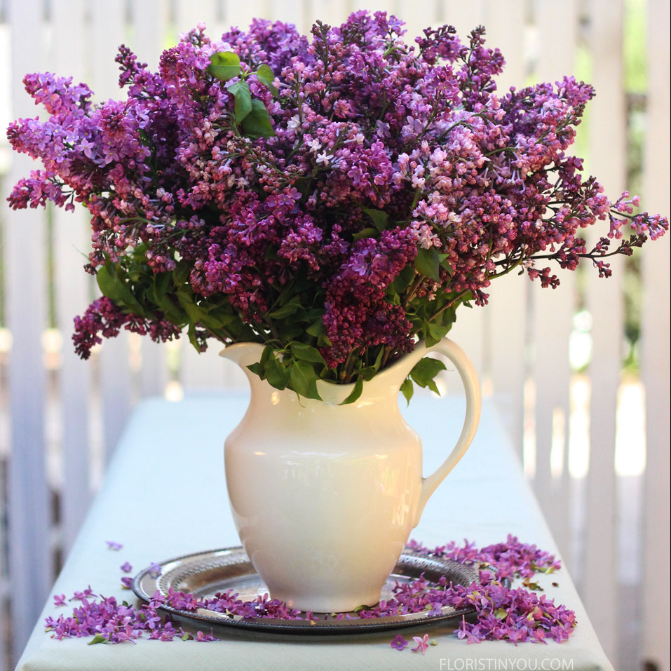 Lovely Lilacs