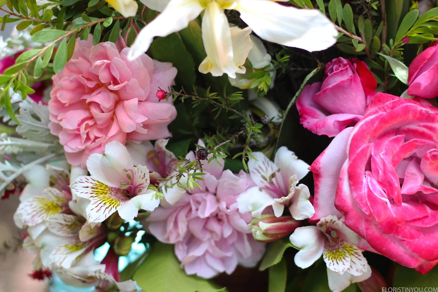 A nice mix of pinks, lavendars and yellows.