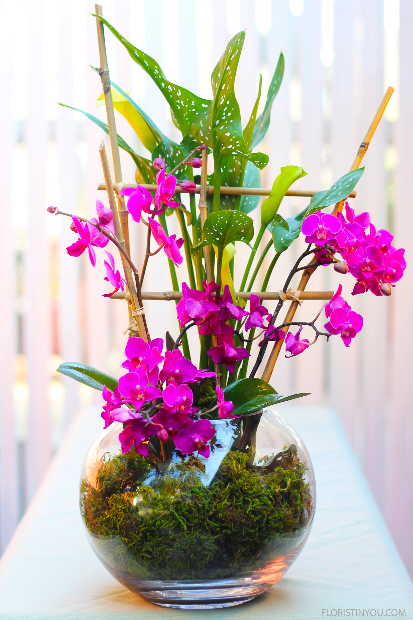 Orchids in a Bubble Bowl