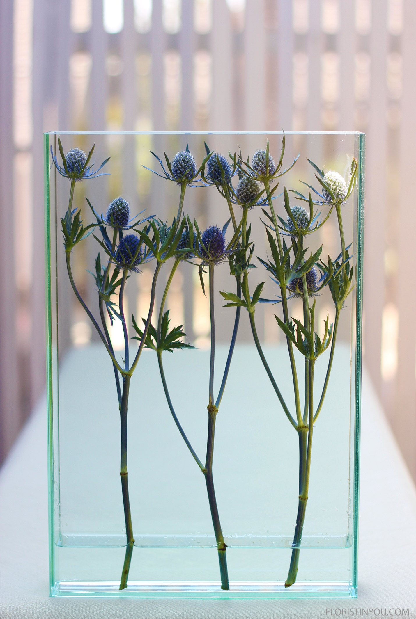 Amethyst Sea Holly in a Modern Vase