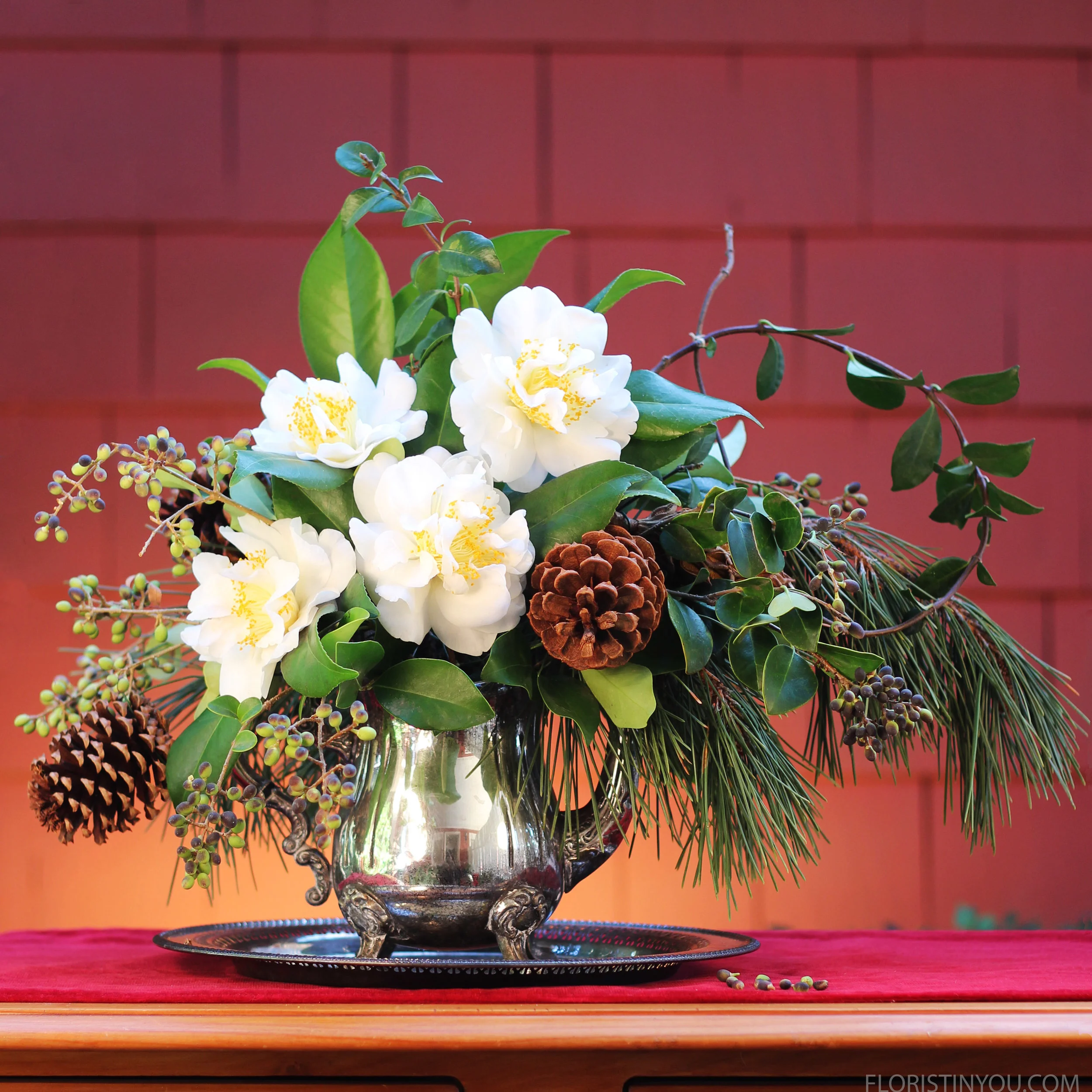 Christmas Cuttings from my Yard
Normal
0
false
false
false
EN-US
JA
X-NONE
/* Style Definitions */
table.MsoNormalTable
{mso-style-name:"Table Normal";
mso-tstyle-rowband-size:0;
mso-tstyle-colband-size:0;
mso-style-noshow:yes;
mso-style-priority:99;
mso-style-parent:"";
mso-padding-alt:0in 5.4pt 0in 5.4pt;
mso-para-margin:0in;
mso-para-margin-bottom:.0001pt;
mso-pagination:widow-orphan;
font-size:12.0pt;
font-family:Cambria;
mso-ascii-font-family:Cambria;
mso-ascii-theme-font:minor-latin;
mso-hansi-font-family:Cambria;
mso-hansi-theme-font:minor-latin;}