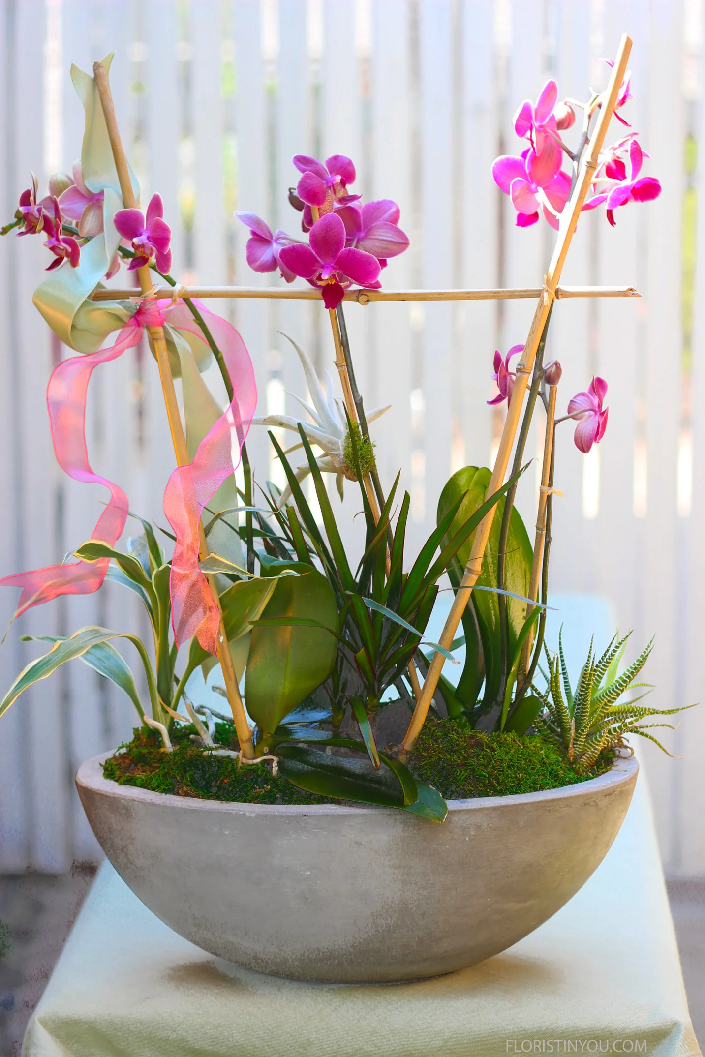 This is the finfished back.