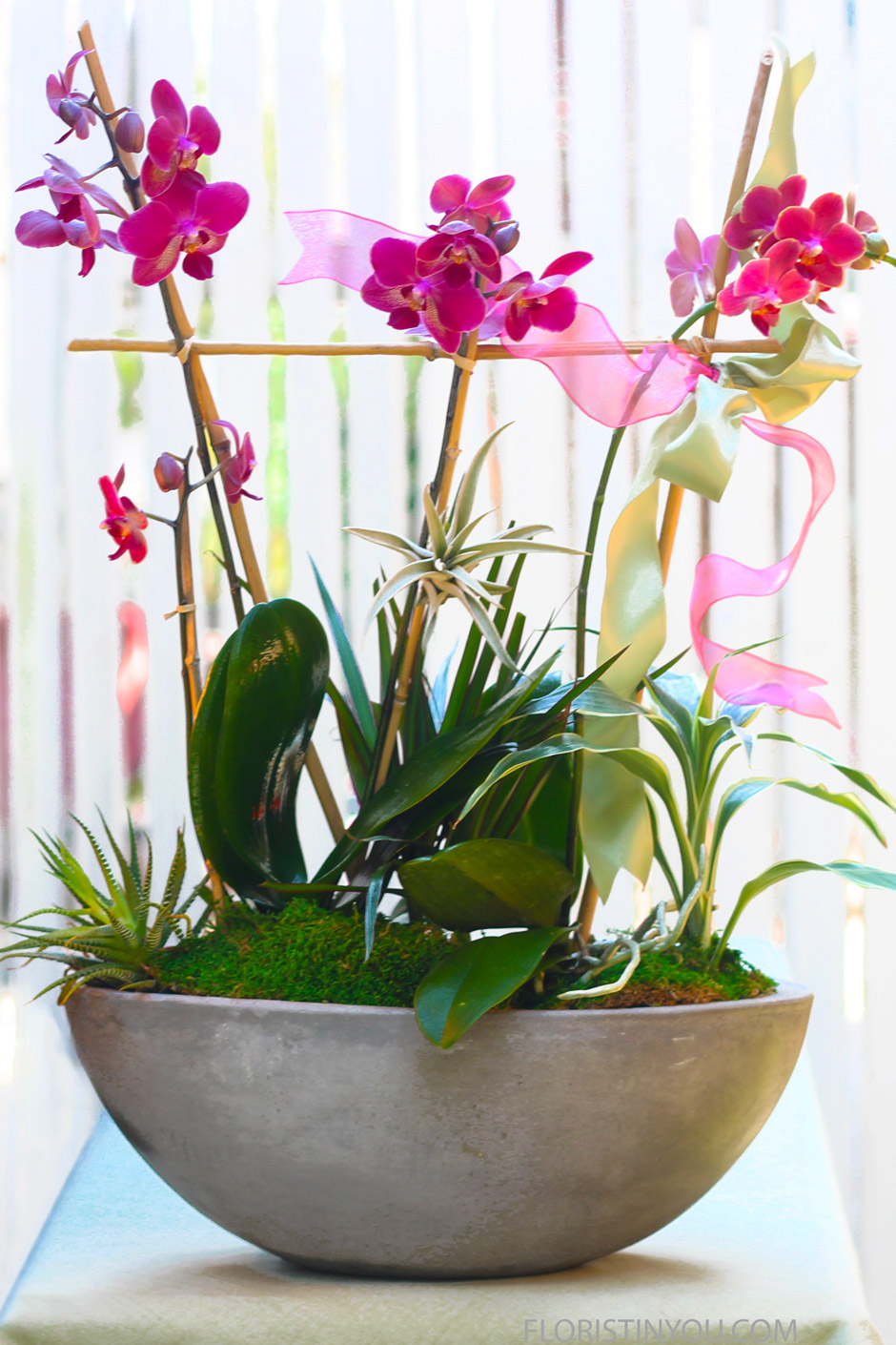 Orchids in a Cement Vase