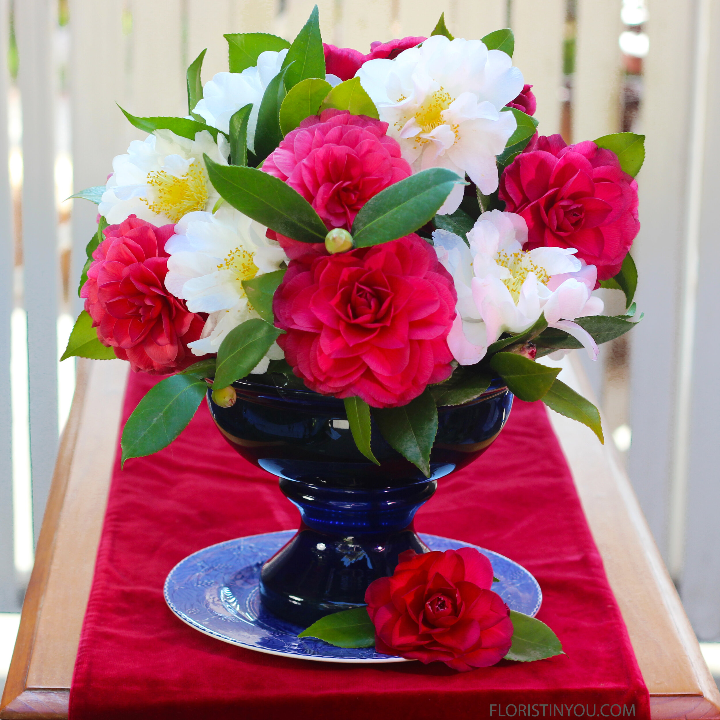 Red &amp; White Camellias - Valentine's