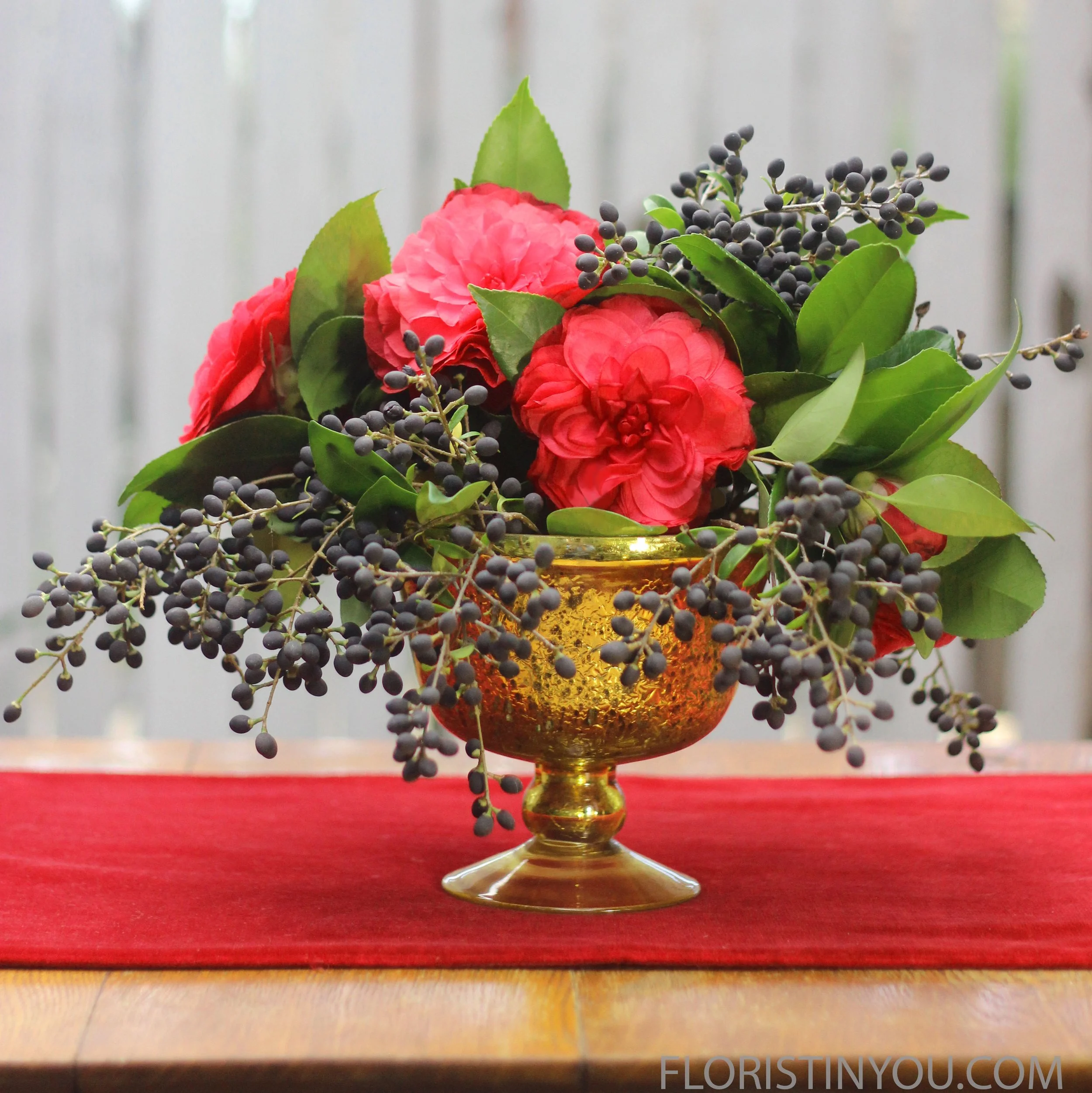 Camellias Privet Berries &amp; a Frog