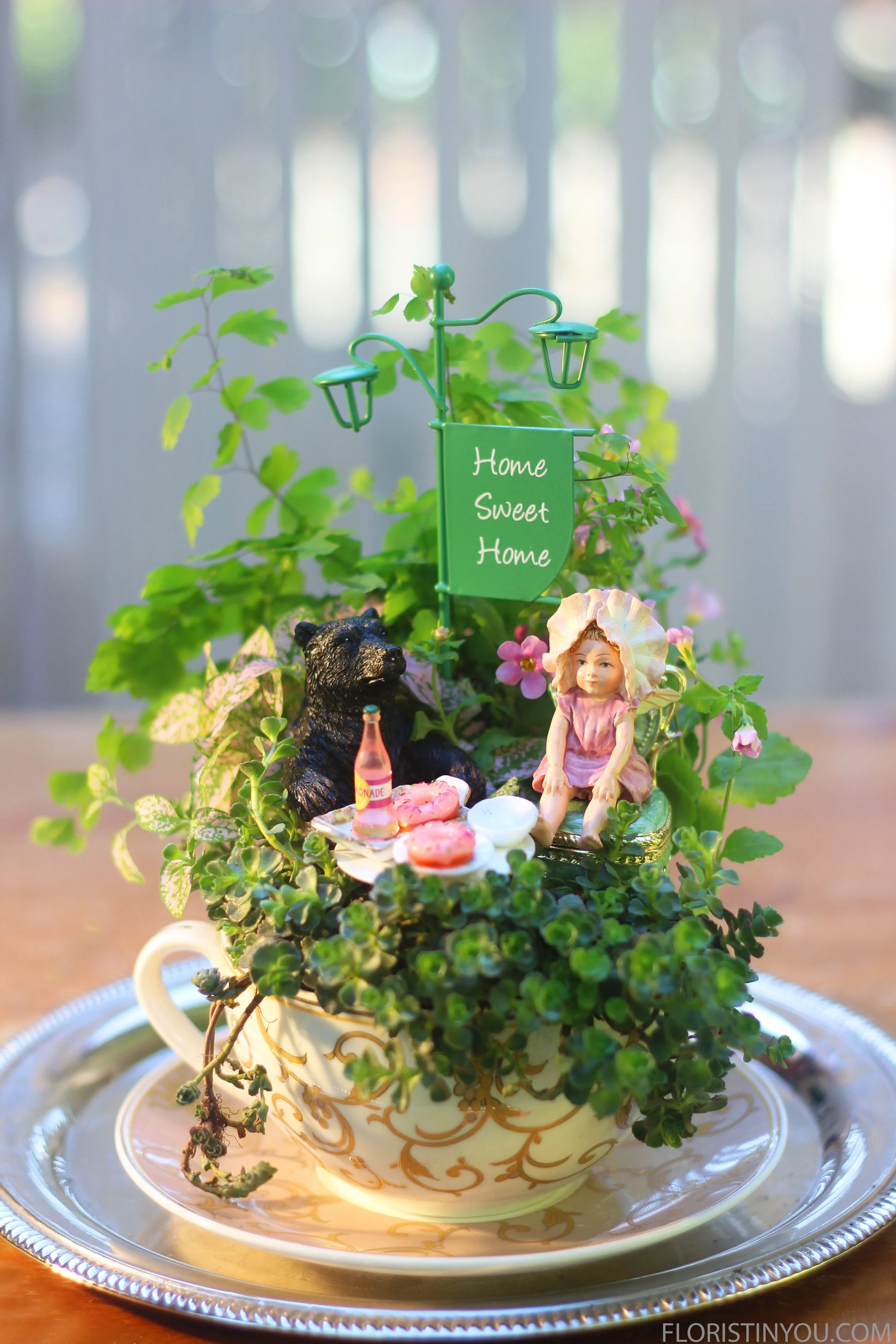 Baby &amp; the Bear teacup Fairy Garden