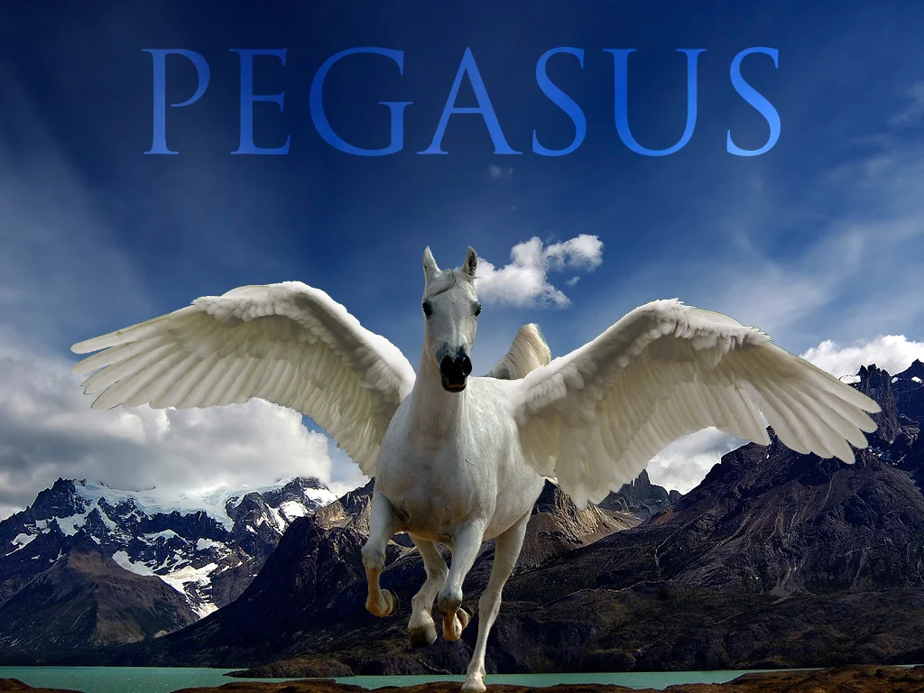 04 Pegasus final.jpg