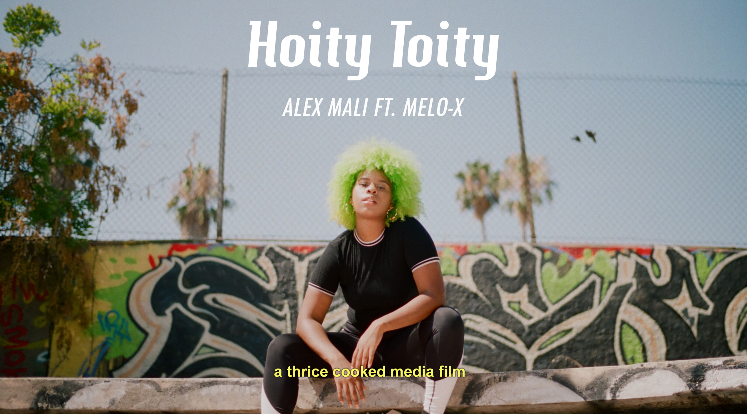 Hoity Toity Website Thumbnail_.png