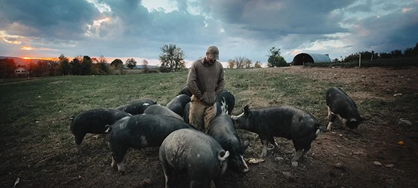 The-Last-Pig-2_WEB.jpg