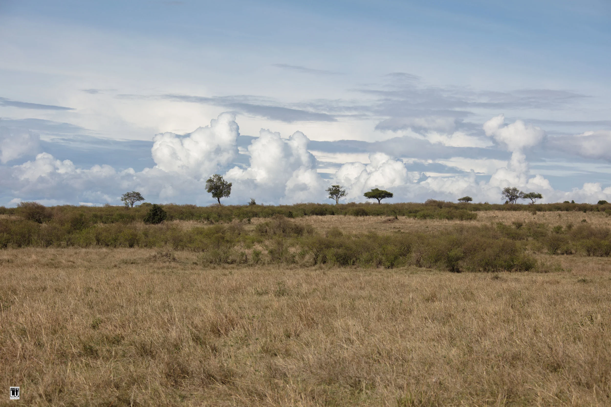 Masai Mara.