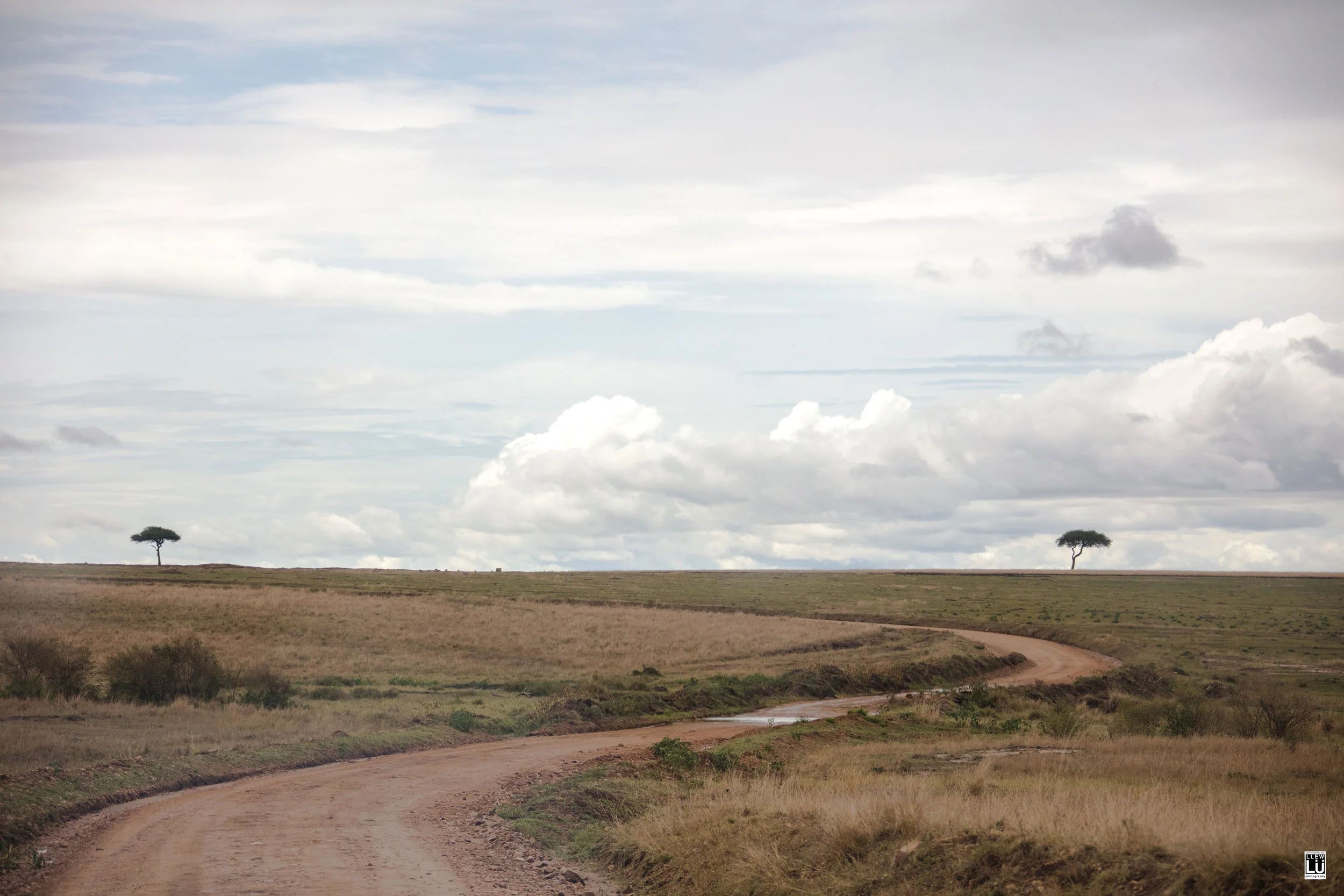 Masai Mara.