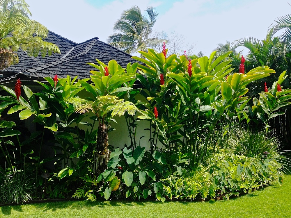 Pua Lani Landscape Design, Hawaiian Landscaping Ideas
