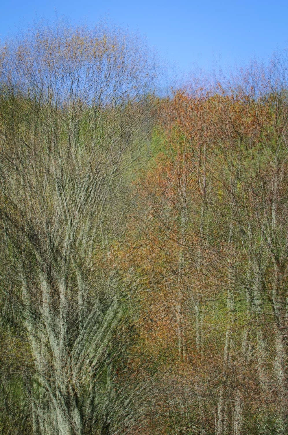 Natural Landscapes Cover 2.jpg
