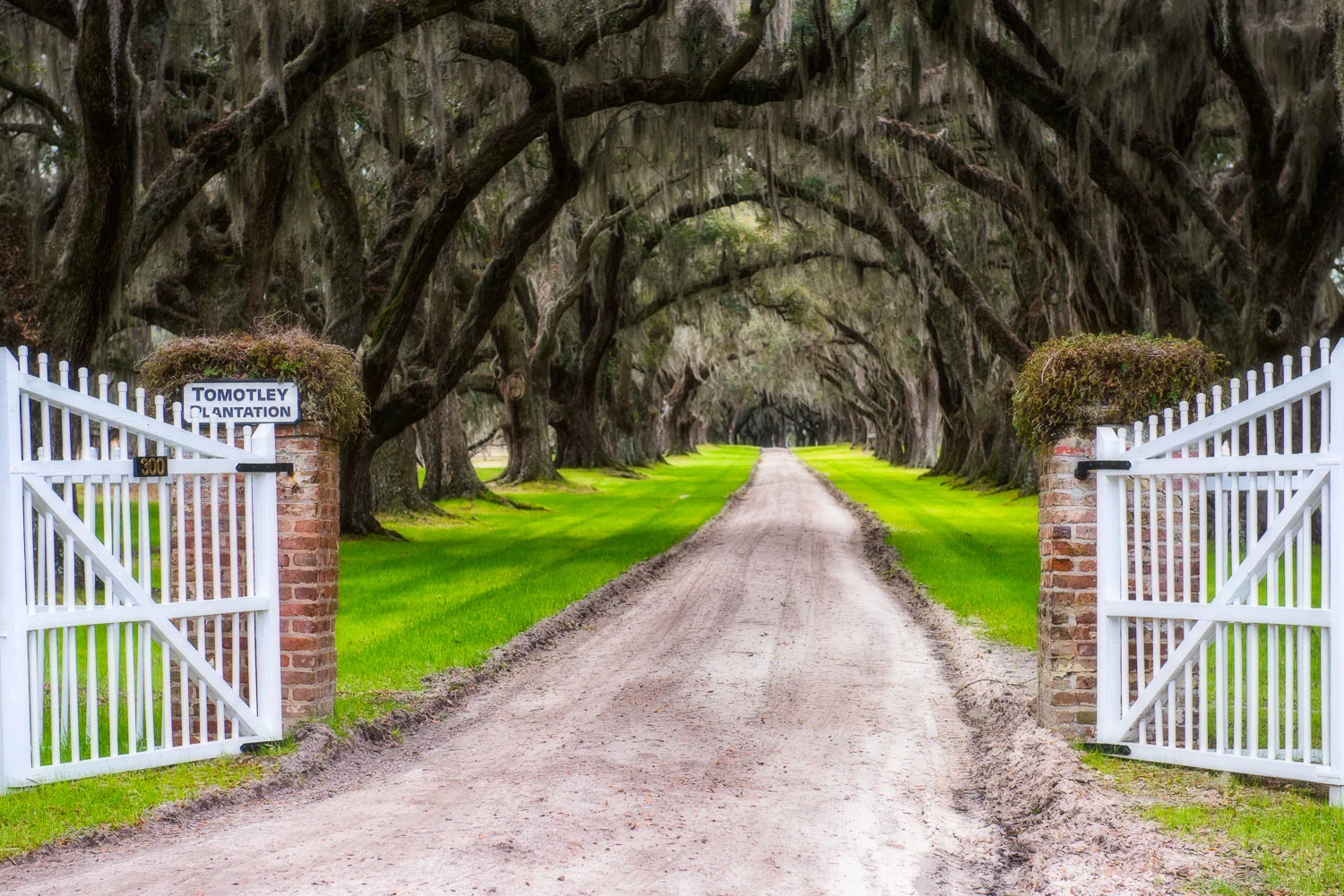 Charleston cover.jpg